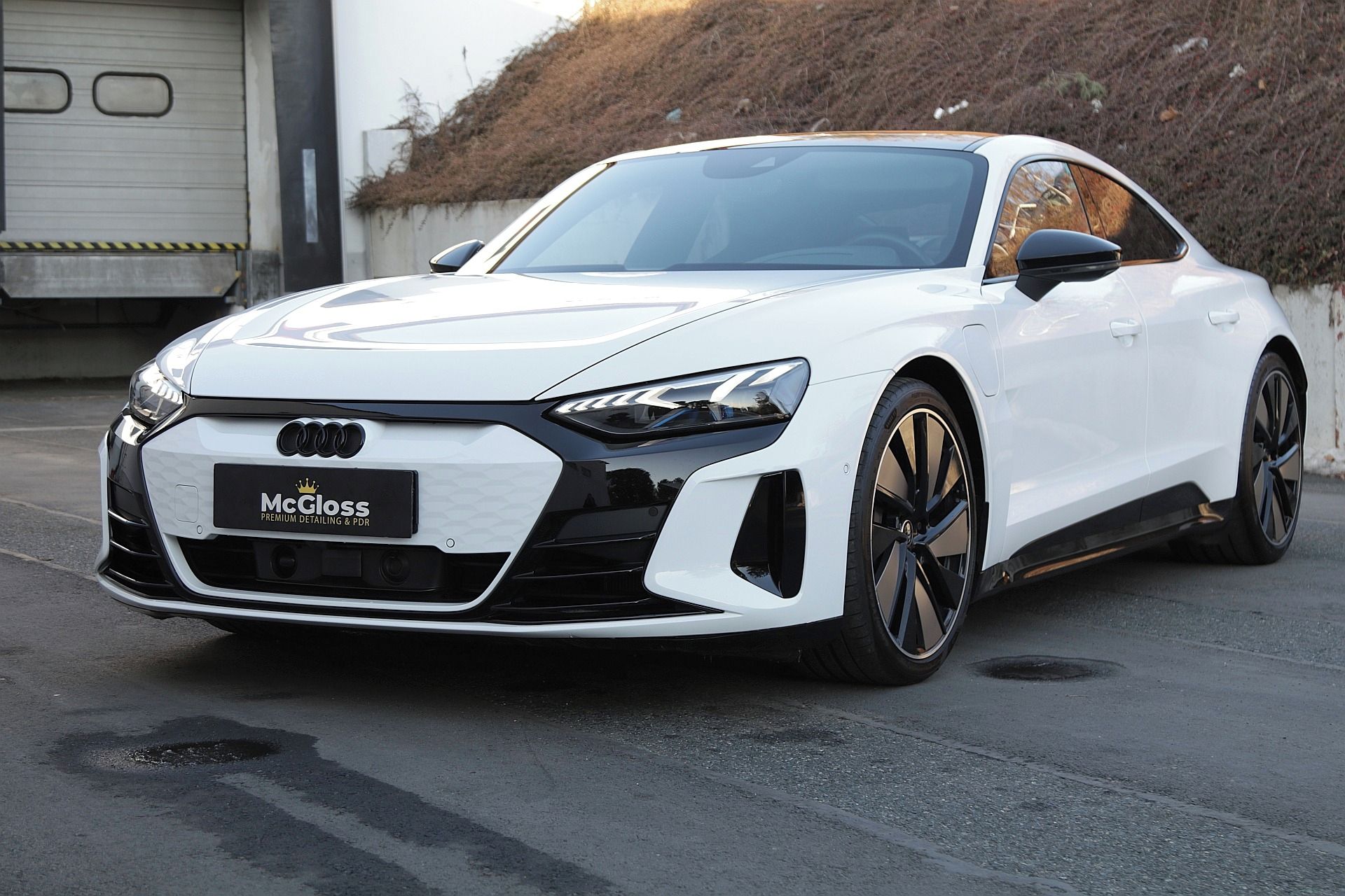 Audi e-tron GT, Dynamic/Laser/Nappa/B&O/3Dkam