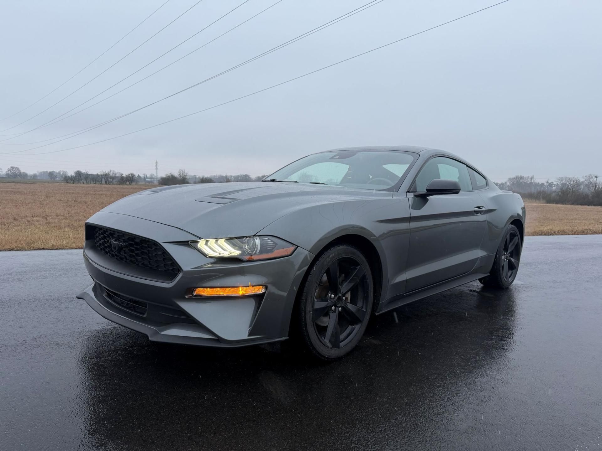 Ford Mustang, 2.3 EcoBoost Manuál 08/2021 - fotka 2