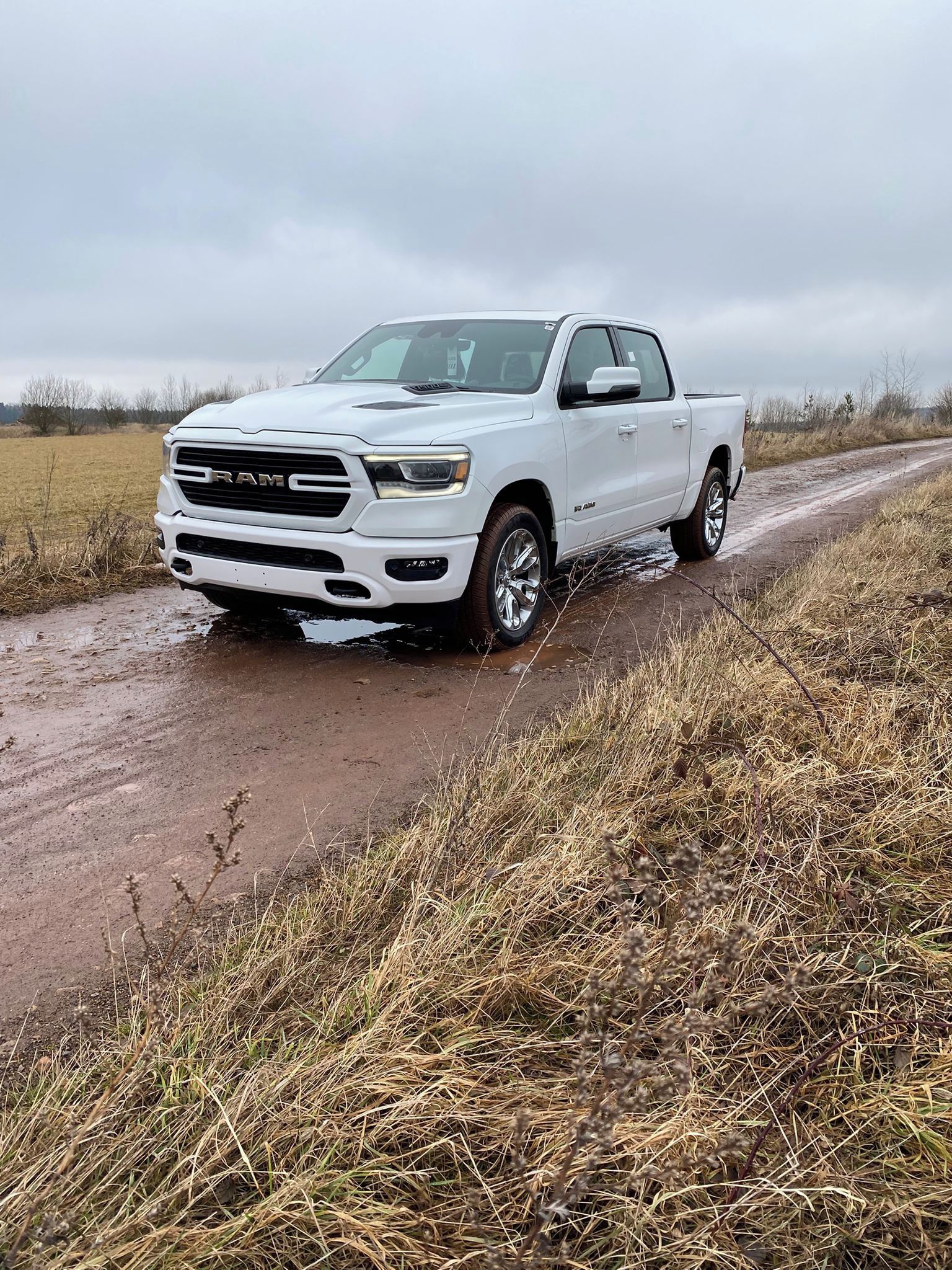 Dodge Ram, 1500 Laramie 4x4 Hemi V8