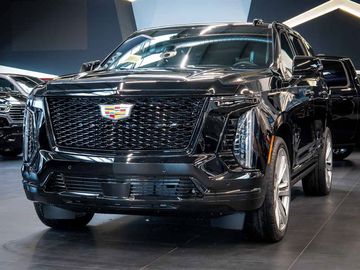 6.2 V8 Sport Platinum 2026