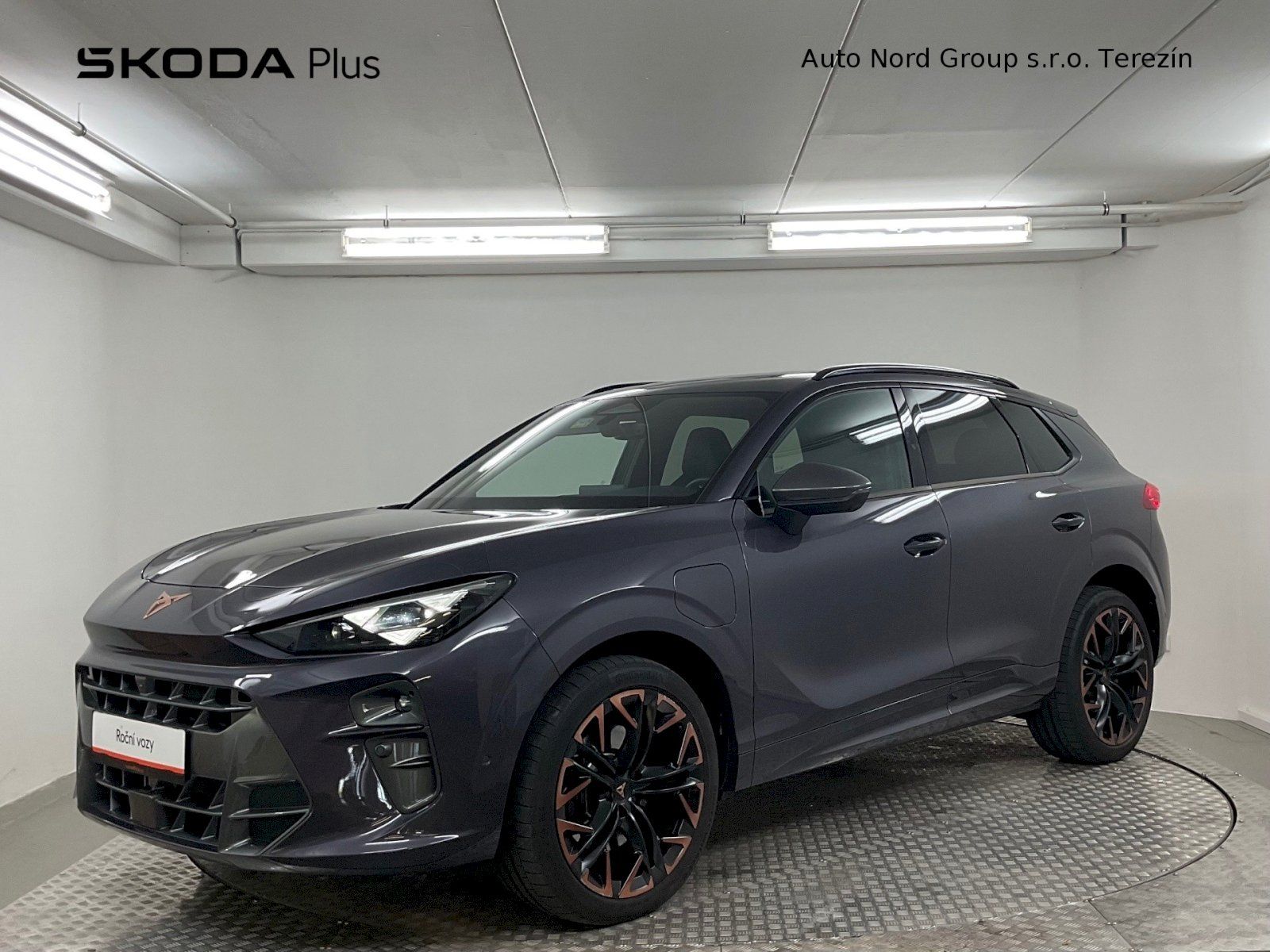 Cupra Terramar, VZ 2.0 TSI 195kW DSG