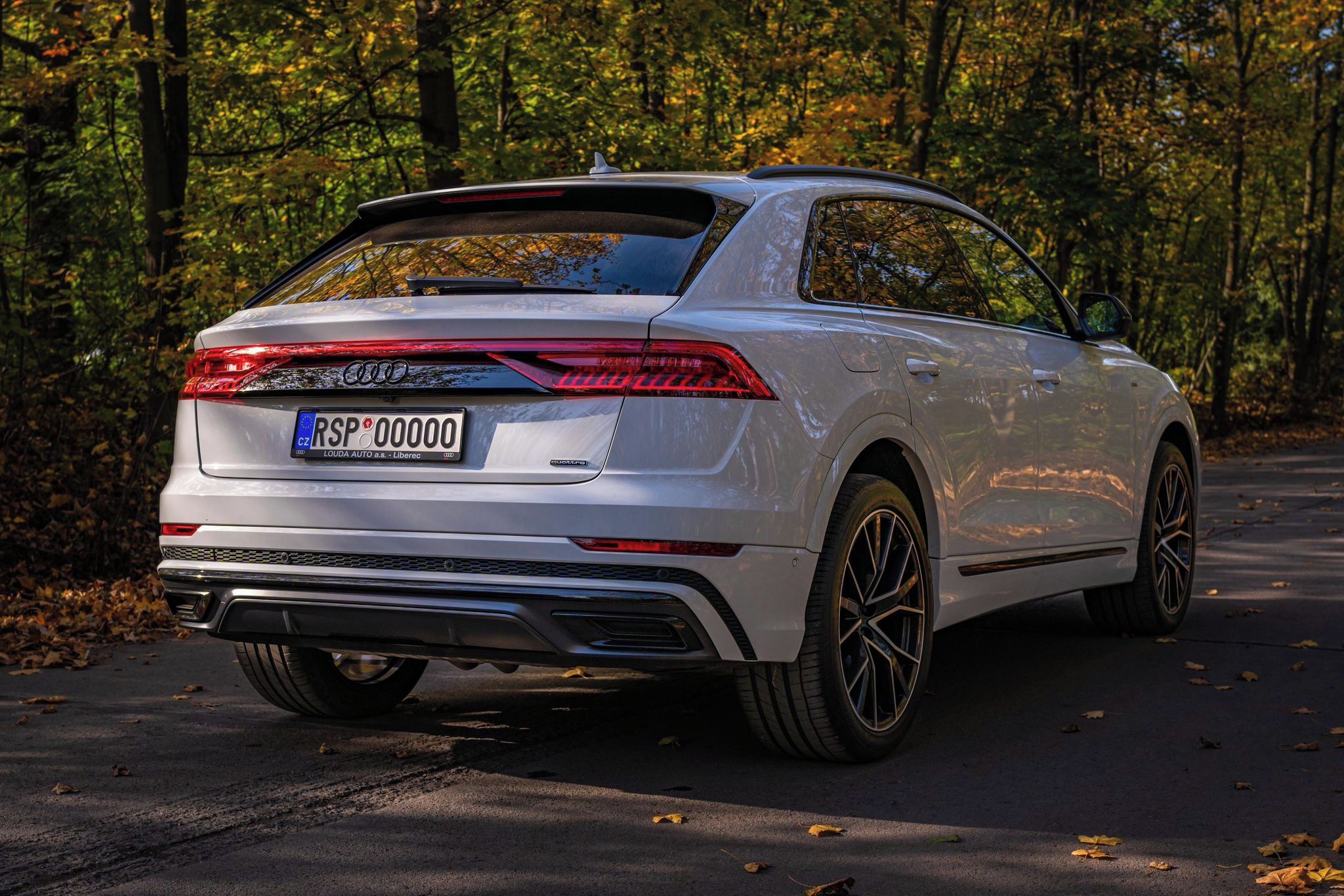 Audi Q8, AUDI Q8 55, 3.0 TFSI,TOP STAV! - fotka 3