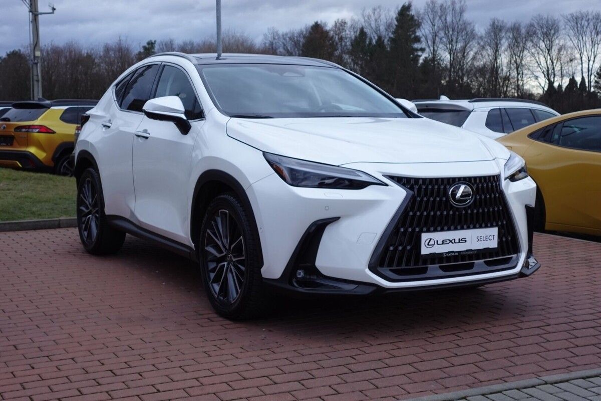 Lexus NX 350h, NX350h Luxury Top Panoramic 4x - fotka 4
