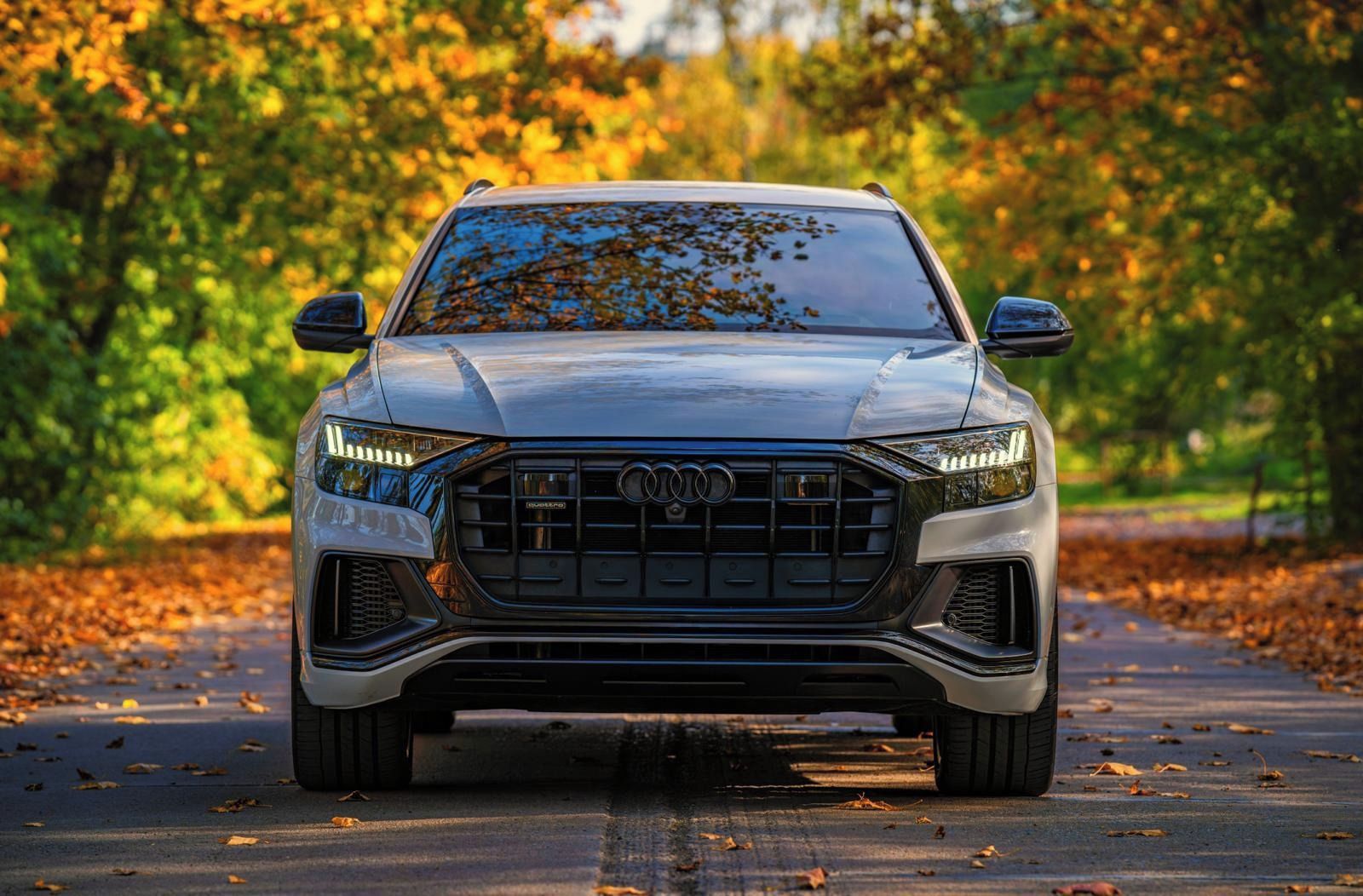 Audi Q8, AUDI Q8 55, 3.0 TFSI,TOP STAV!