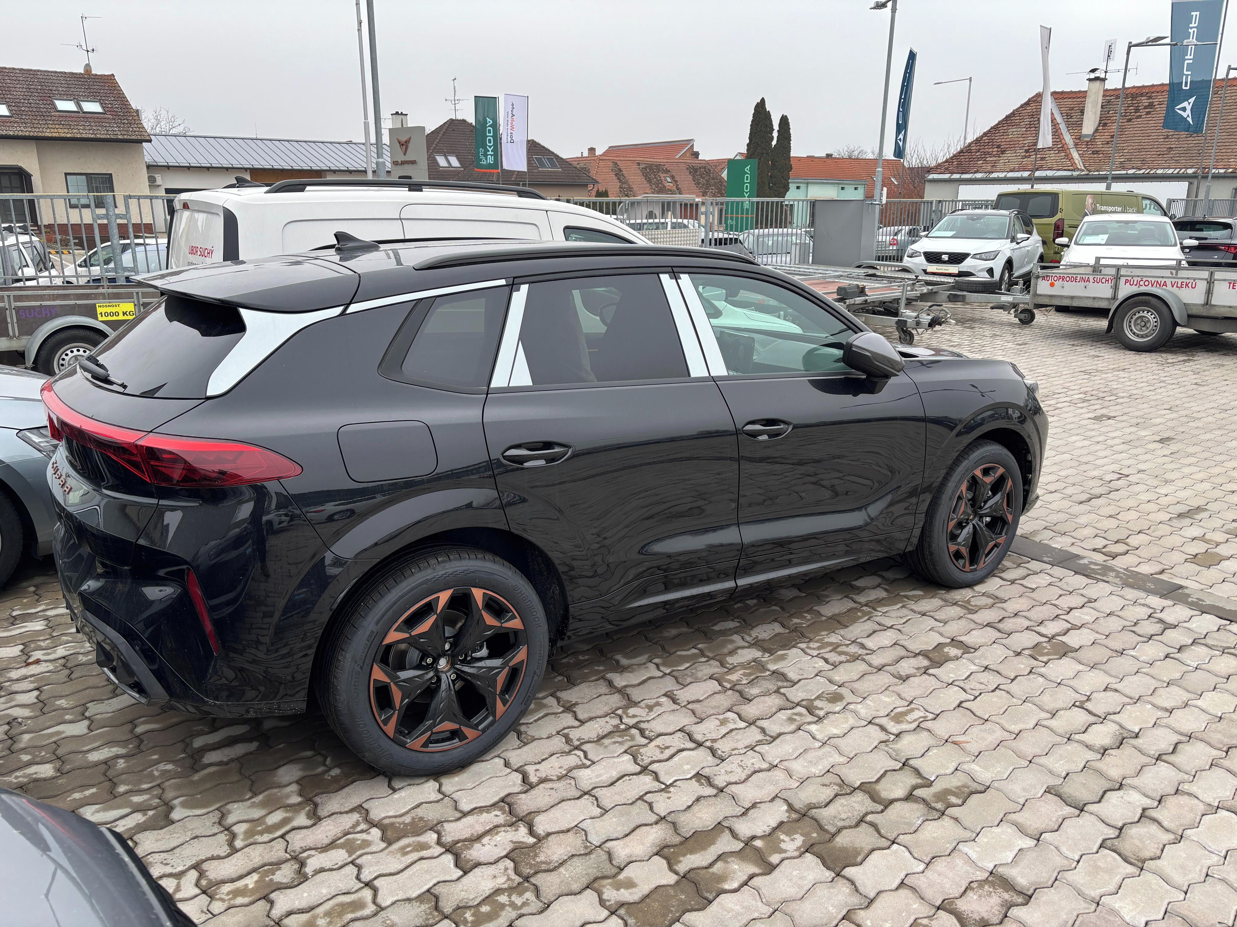 Cupra Terramar, 2.0 TSI 204k DSG 4WD - fotka 2