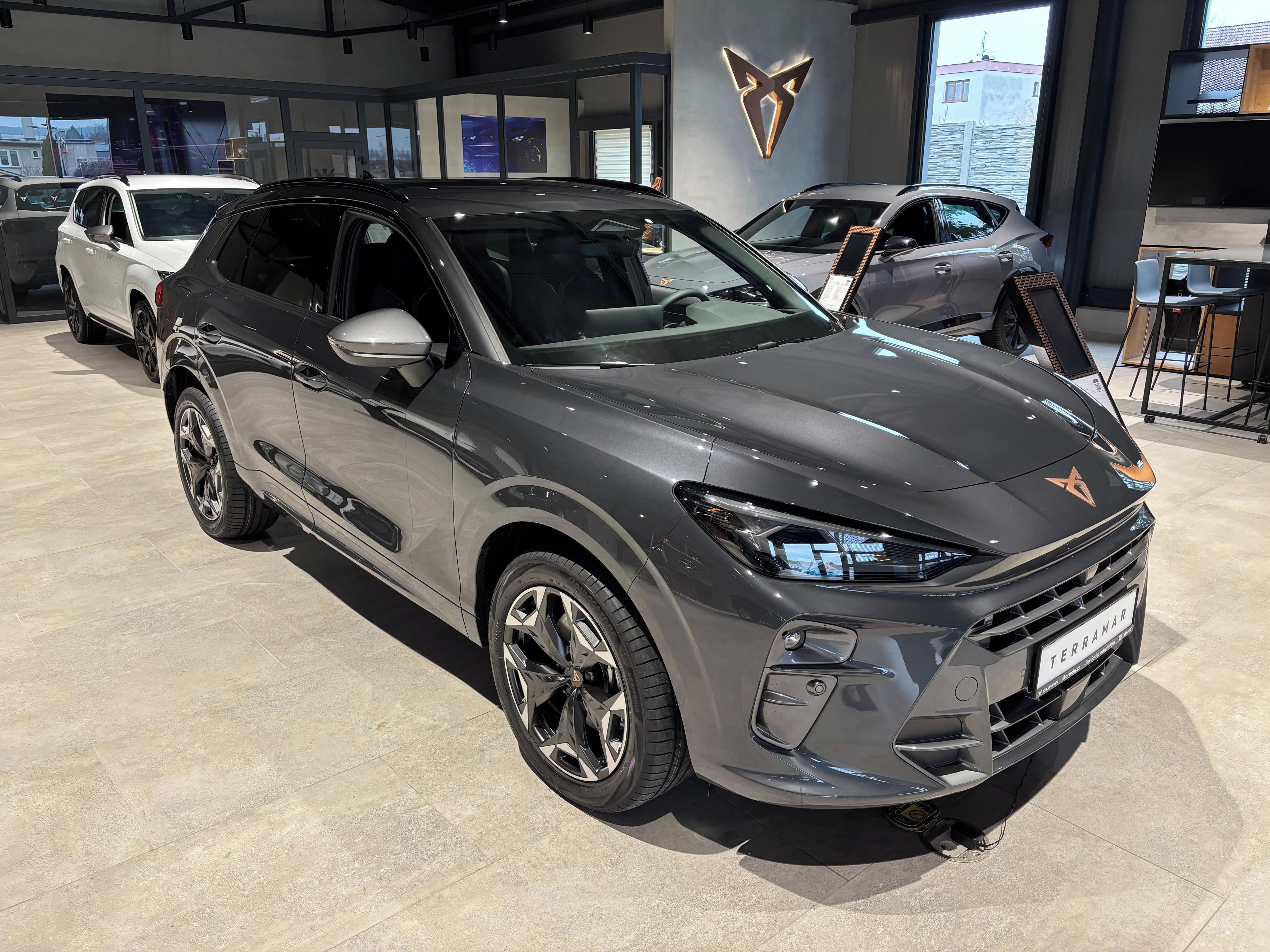 Cupra Terramar, 2.0 TSI 204k DSG 4WD