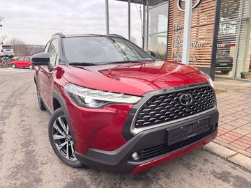 2.0 Executive