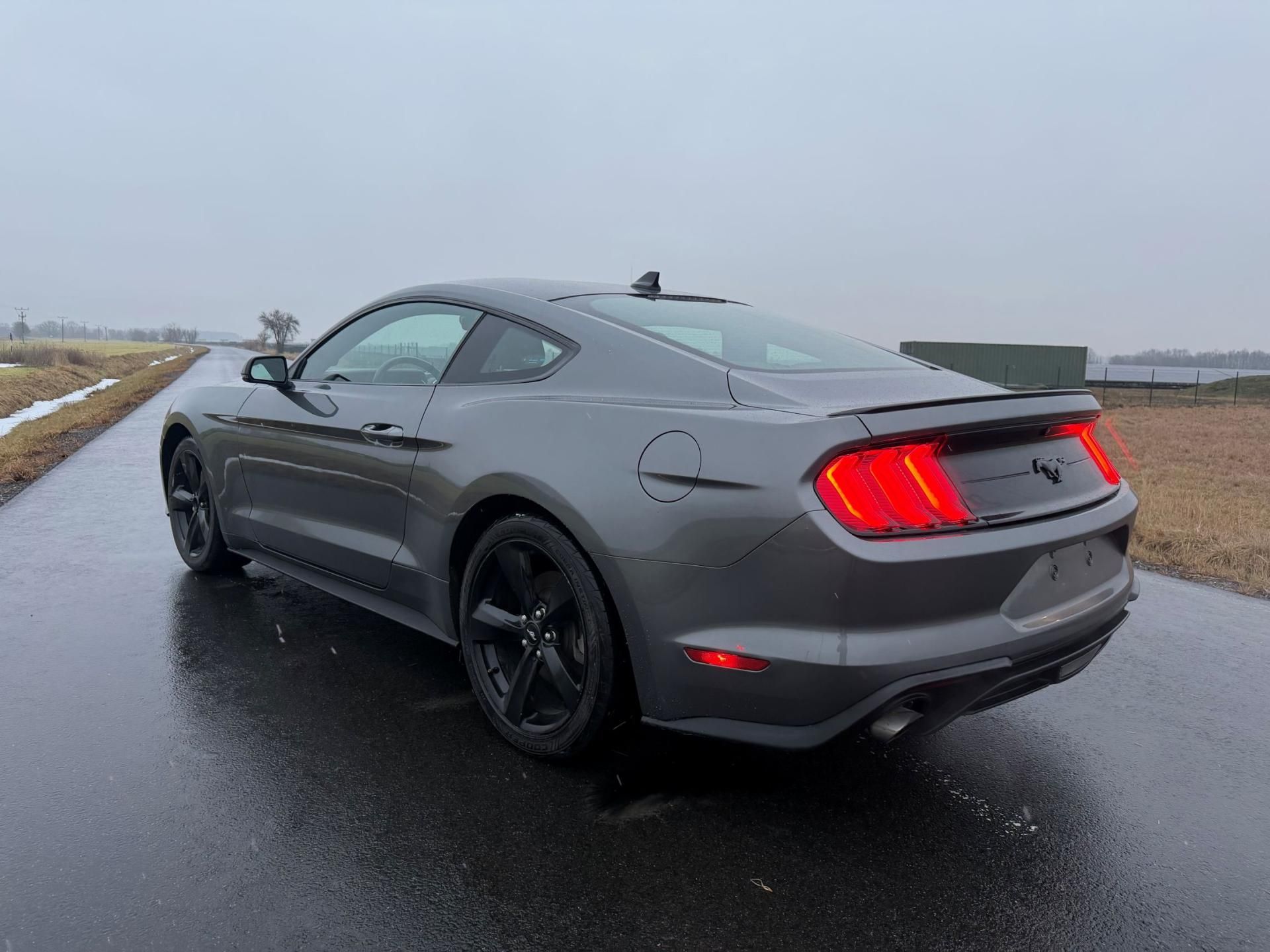 Ford Mustang, 2.3 EcoBoost Manuál 08/2021 - fotka 3