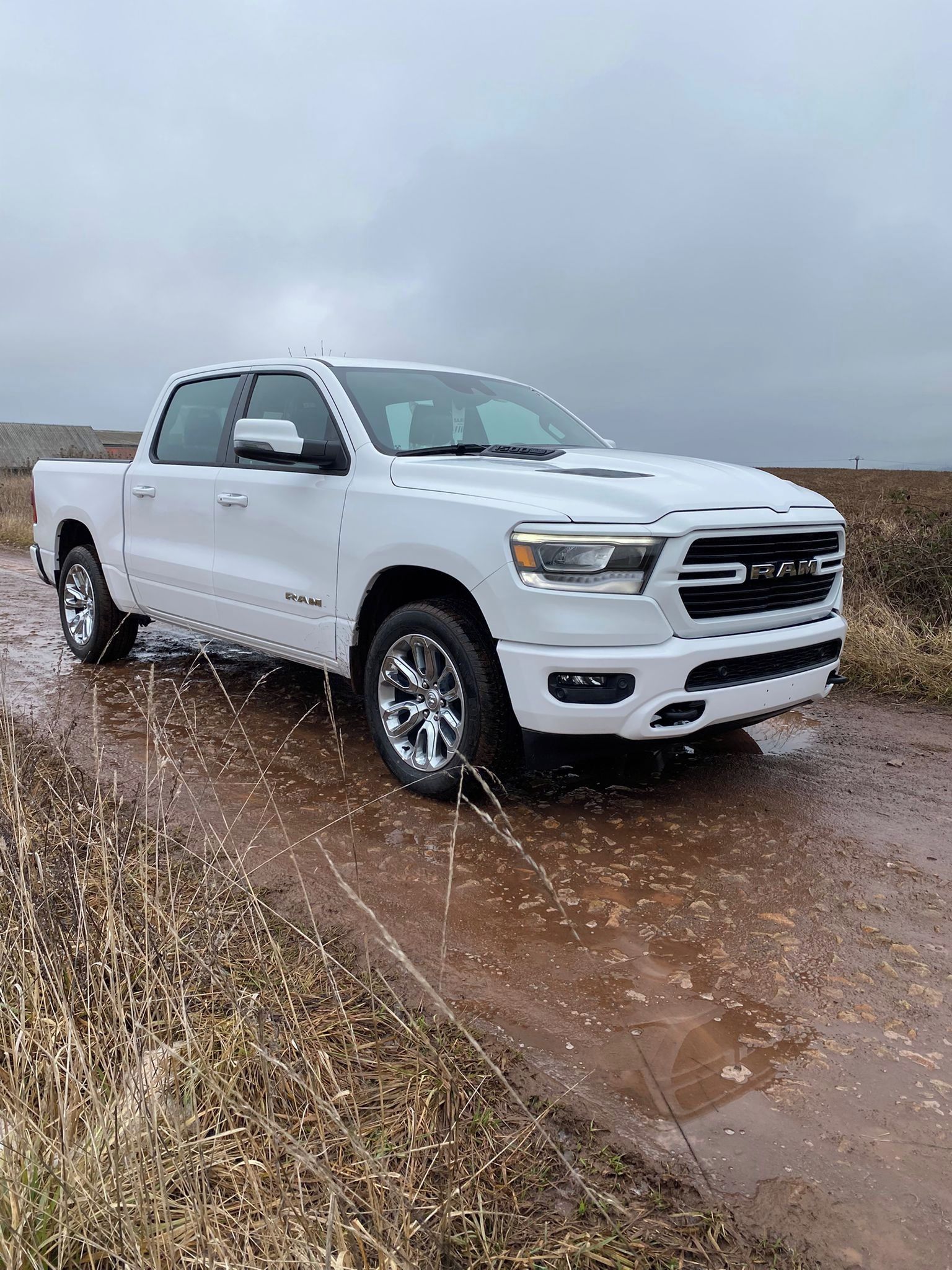Dodge Ram, 1500 Laramie 4x4 Hemi V8 - fotka 2