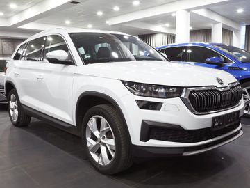 2.0 TDI 147kW 4x4 DSG Webasto