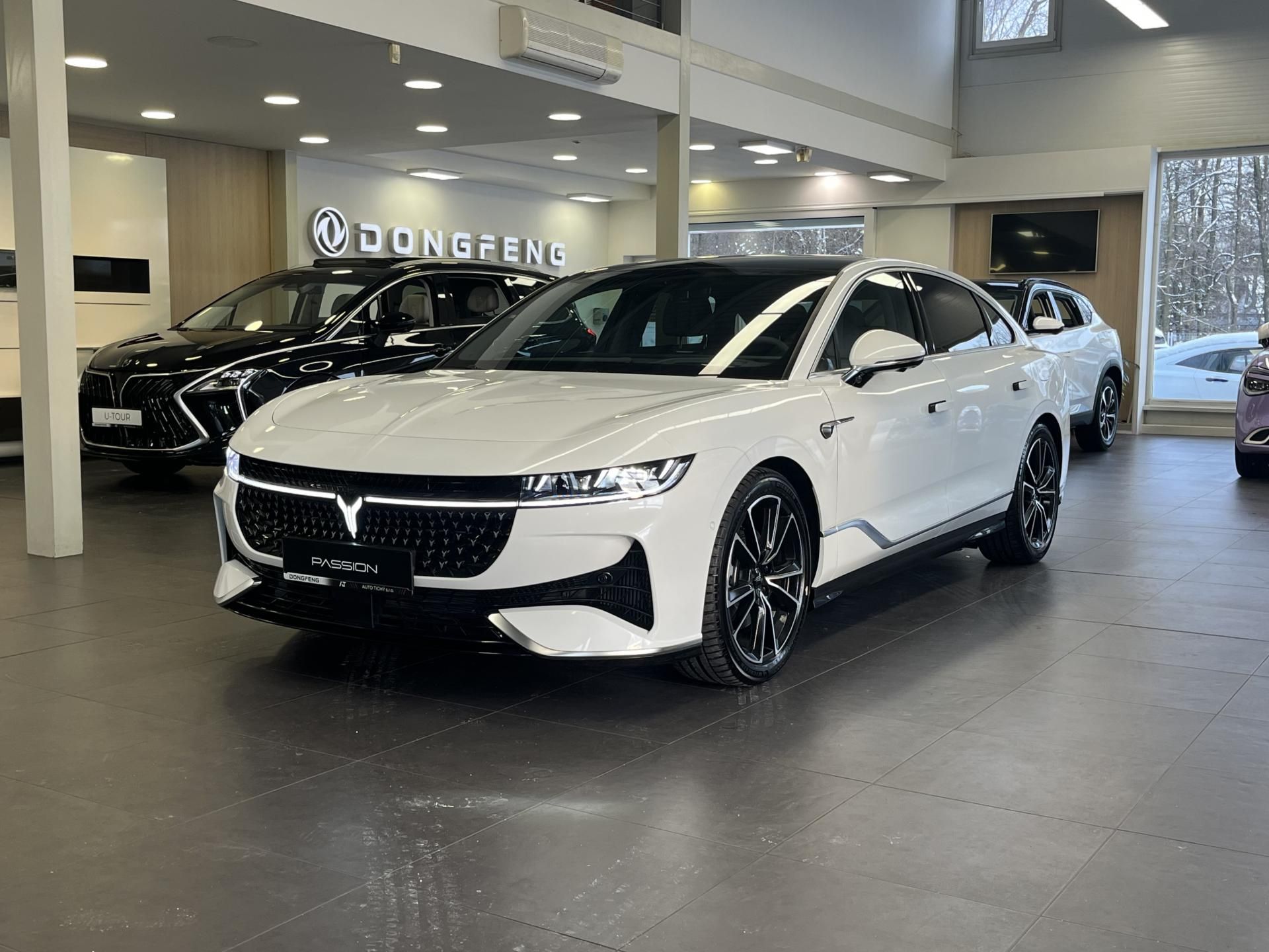Dongfeng, Voyah Passion PHEV PHEV 4x4