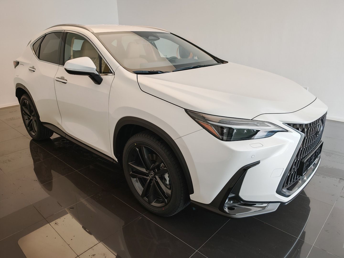 Lexus NX 450h+, 450h+ Executive TOP - fotka 3