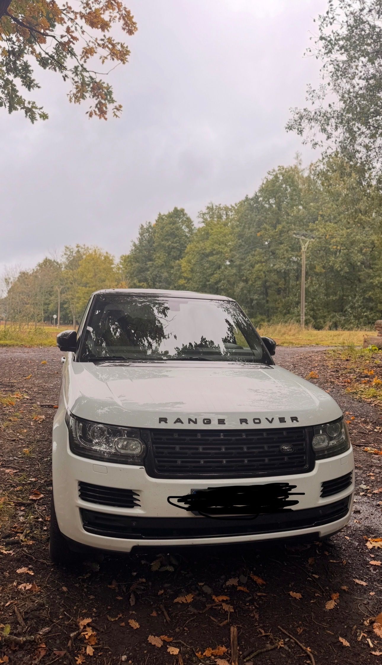 Land Rover Range Rover, 4.4 diesel - fotka 3