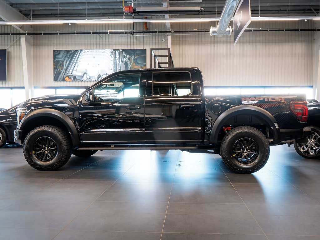 Ford F-150, 3.5 Raptor V6, FOX Racing 4x4 - fotka 2
