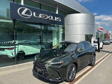 2,5 LUXURY