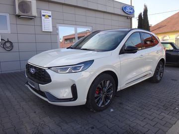 Sound Edition_2.5Duratec 134kW