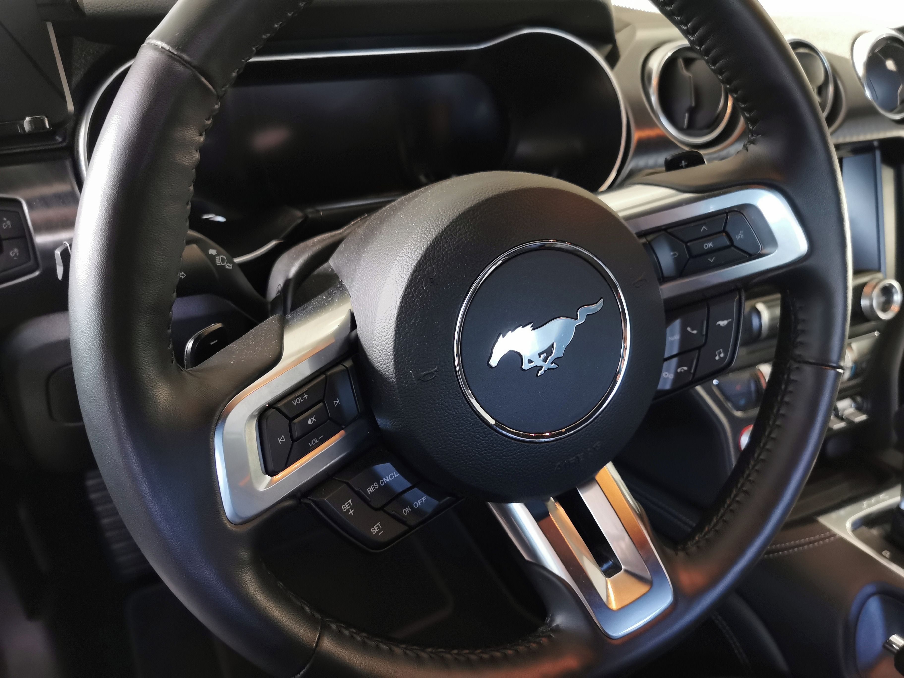 Ford Mustang, Mustang Mach1 - fotka 3