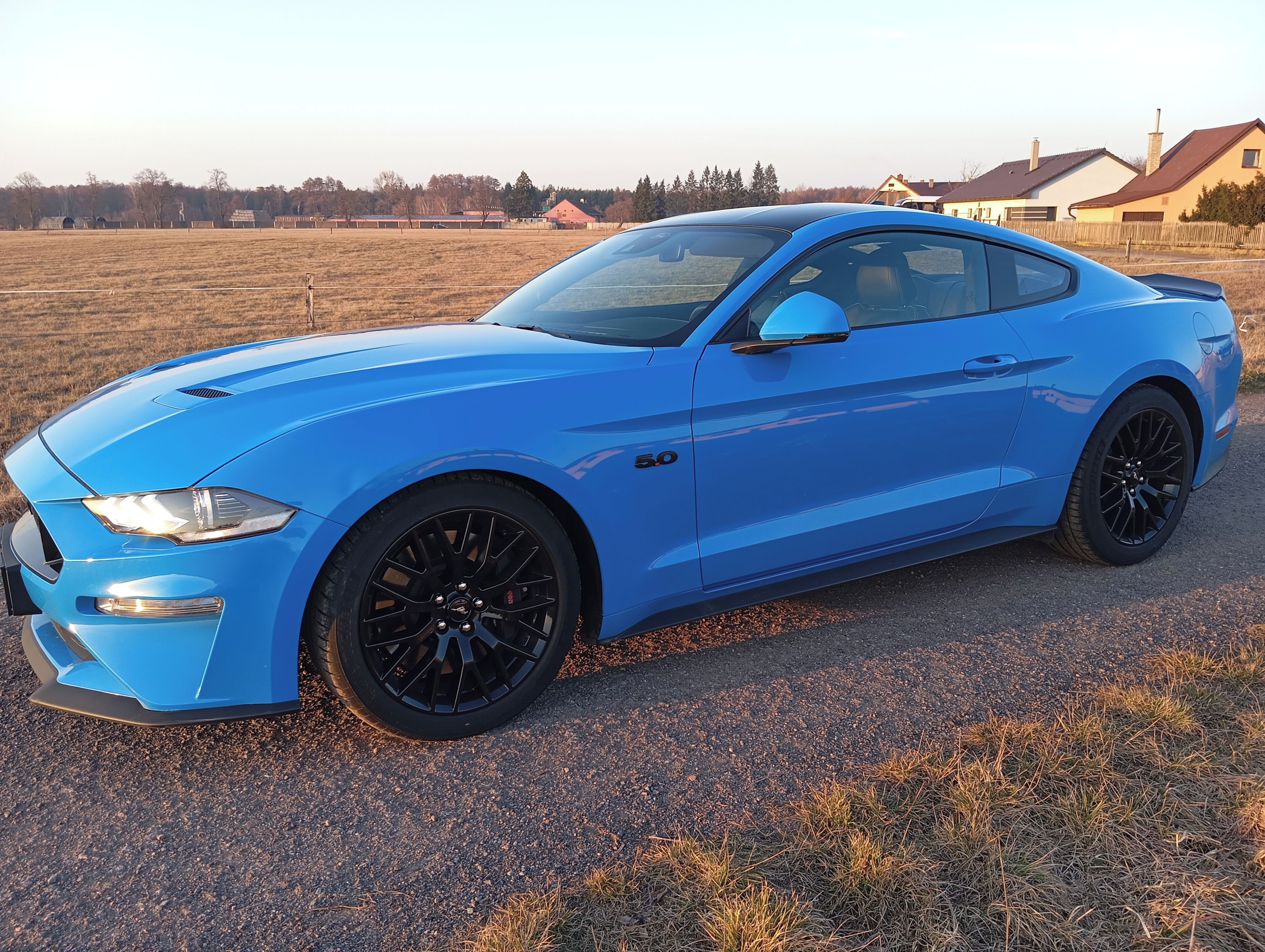 Ford Mustang, 5.0 GT Performance