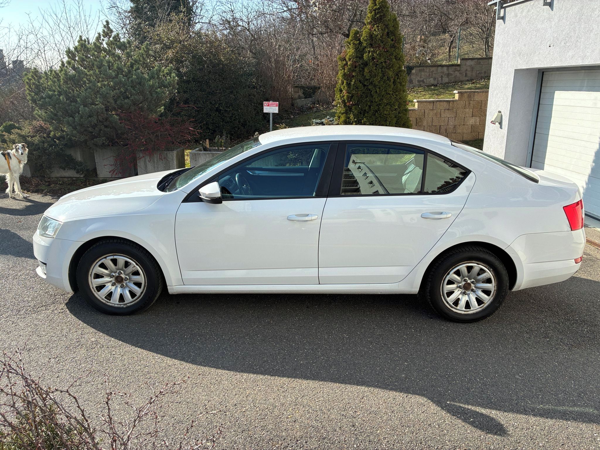 Škoda Octavia, Octavia 1.6 TDi 77 kW AMBITION - fotka 3