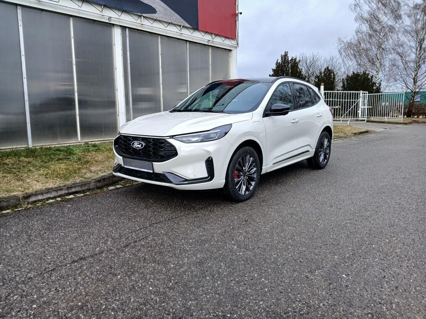 Ford Kuga, 2,5 Duratec Hybrid (PHEV) 178 - fotka 2