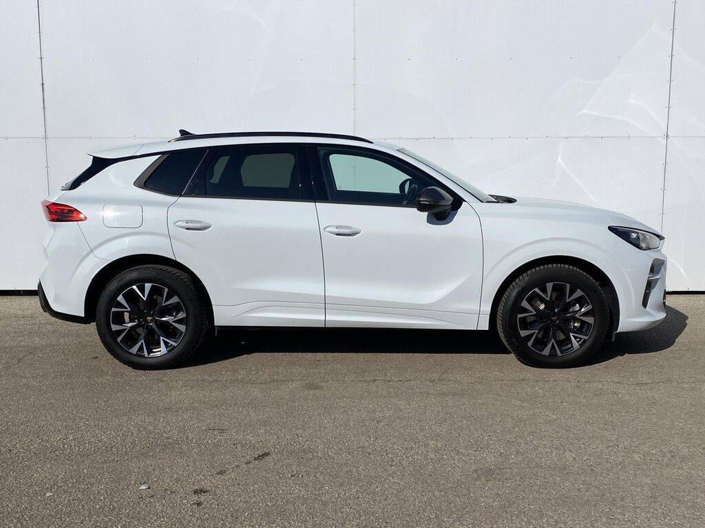 Cupra Terramar, 2,0 TSI 150 kW 4WD DSG - fotka 3