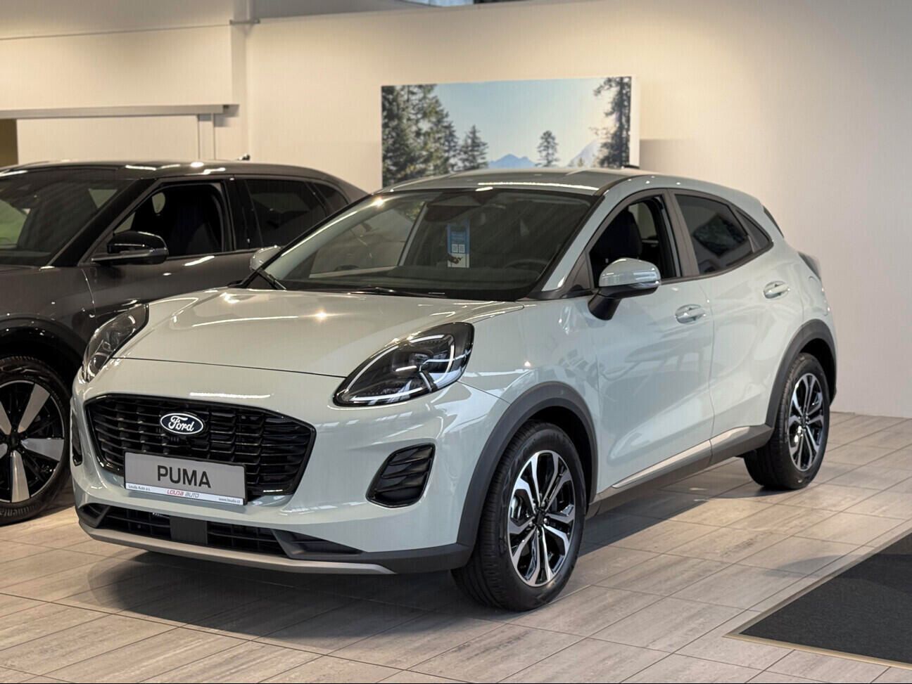 Ford Puma, , 1.0 EcoBoost Hybrid (mHEV) (