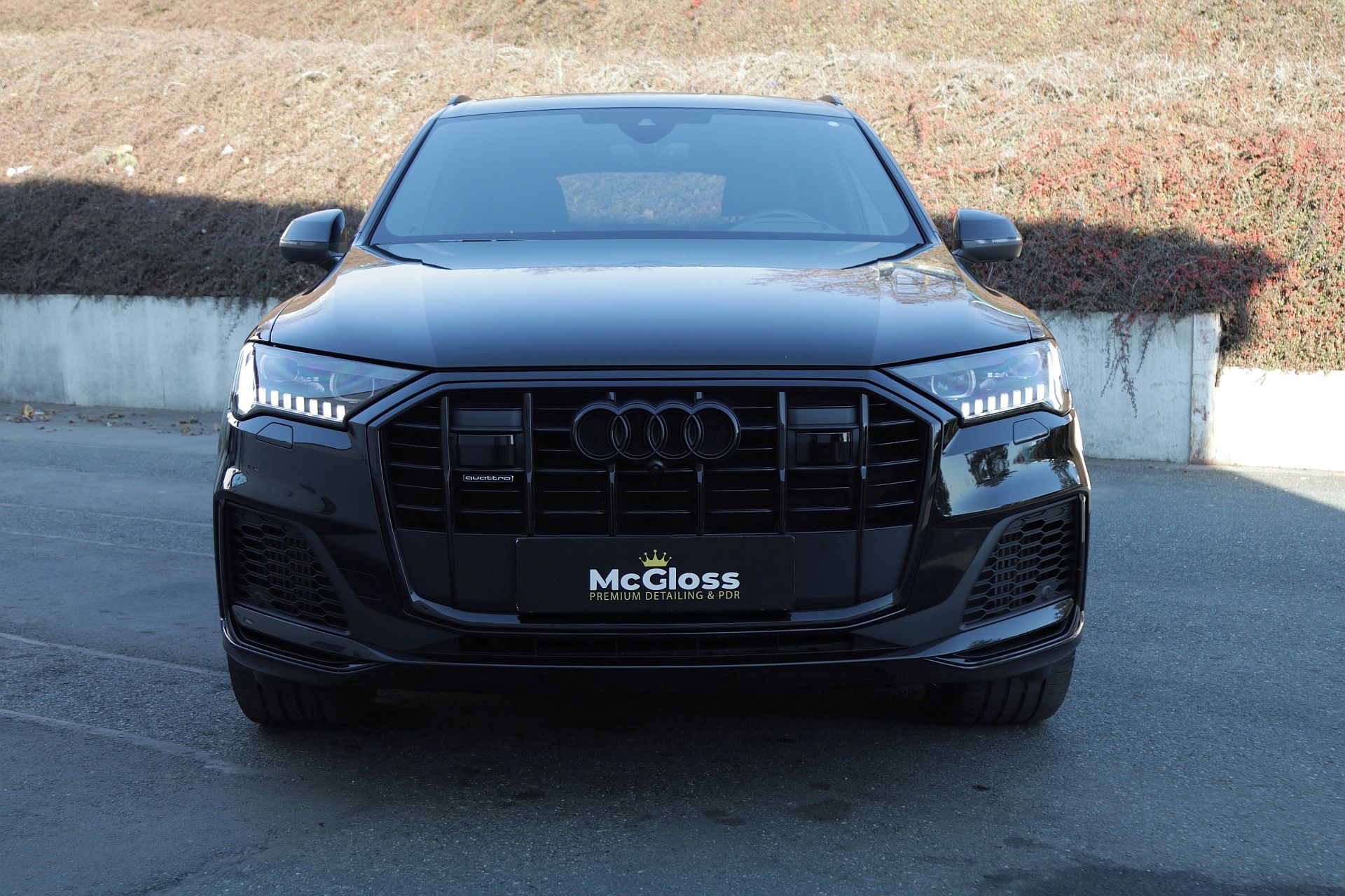 Audi Q7, Competition Plus/Laser/Webasto - fotka 2