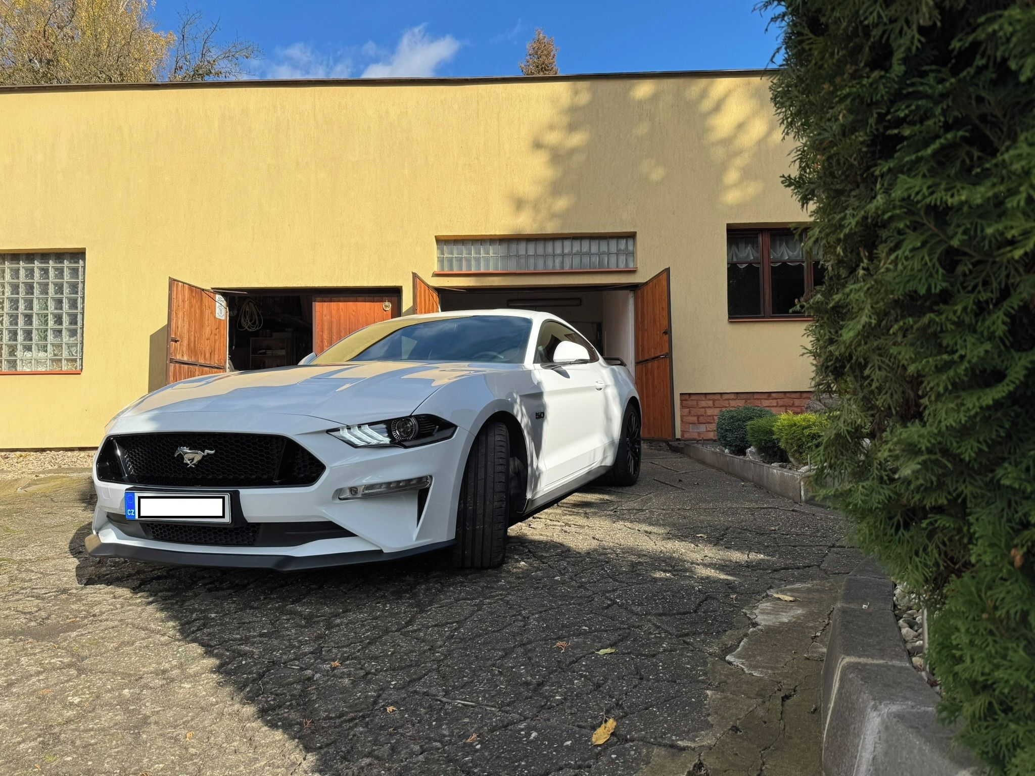 Ford Mustang, Ford Mustang 5.0 GT Premium - fotka 2