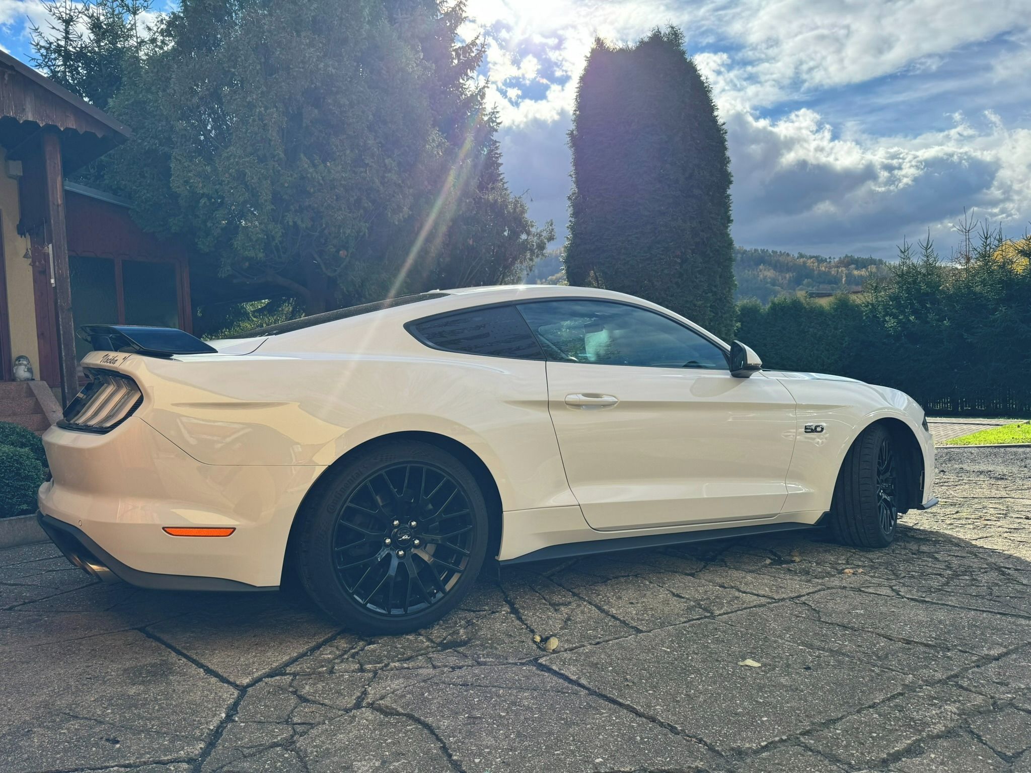Ford Mustang, Ford Mustang 5.0 GT Premium - fotka 5