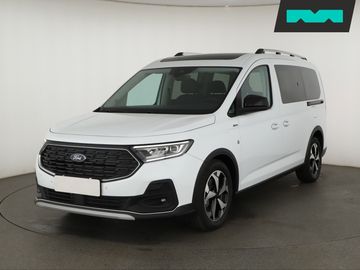 Maxi 2.0 EcoBlue, Active, Pano
