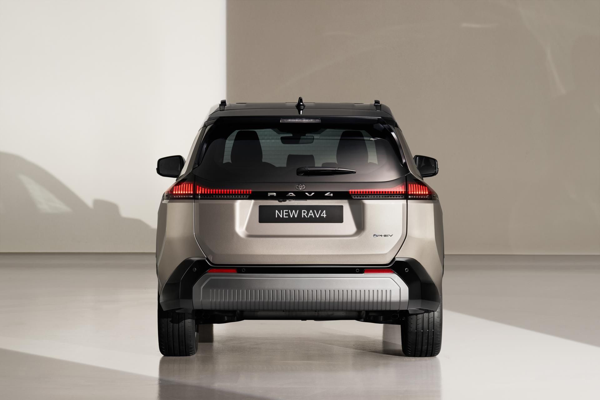 Toyota Rav4, 2,5 HEV 4X4 STYLE - fotka 2
