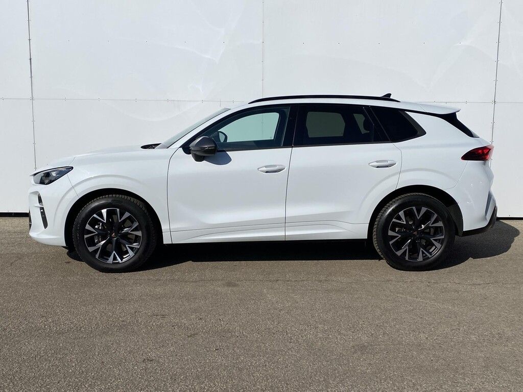 Cupra Terramar, 2,0 TSI 150 kW 4WD DSG - fotka 4