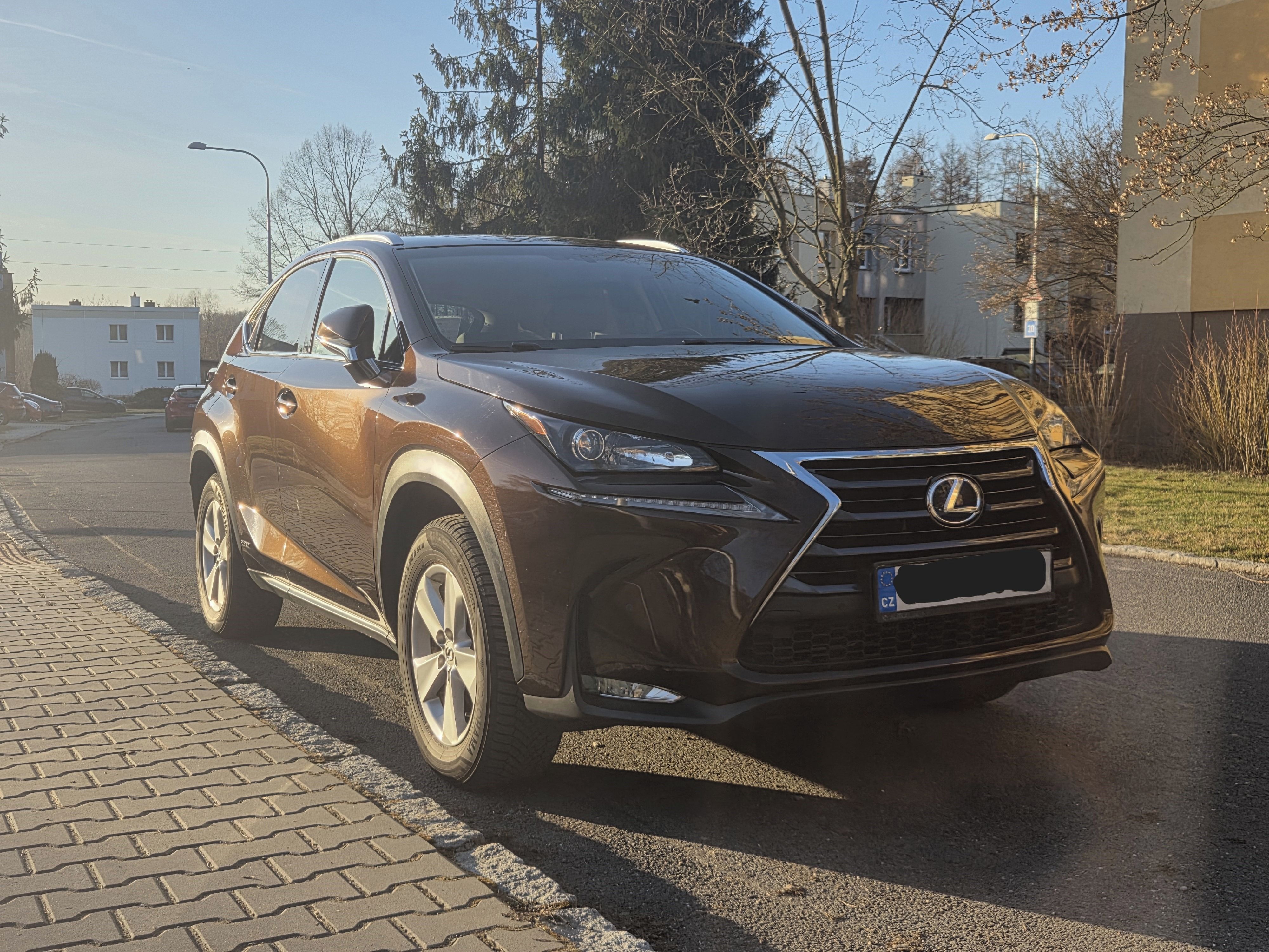 Lexus NX 300h, 1.maj.
