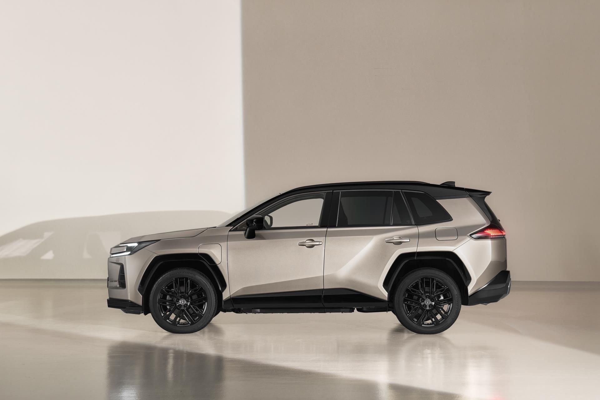 Toyota Rav4, 2,5 HEV 4X4 STYLE - fotka 3