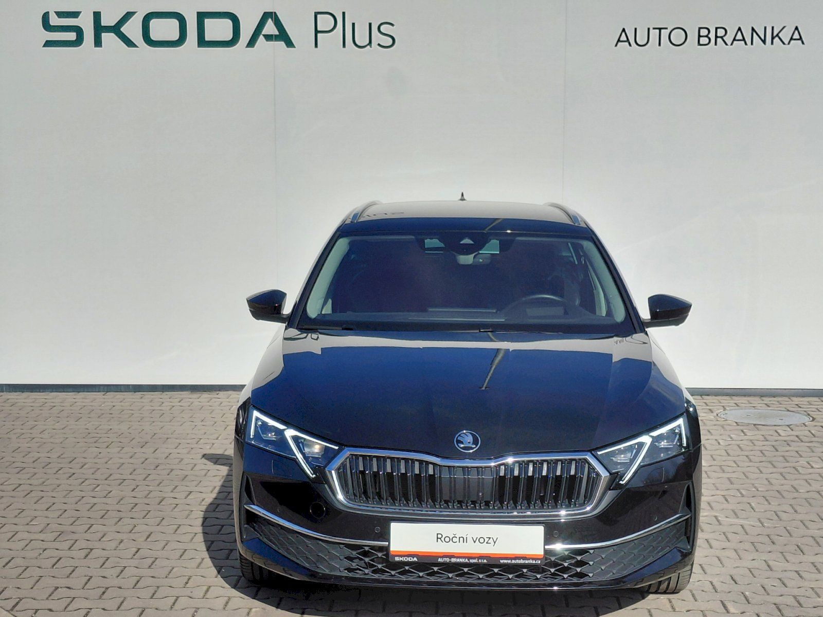 Škoda Octavia, 2.0 TDI 110kW DSG TOP SELECTIO - fotka 4