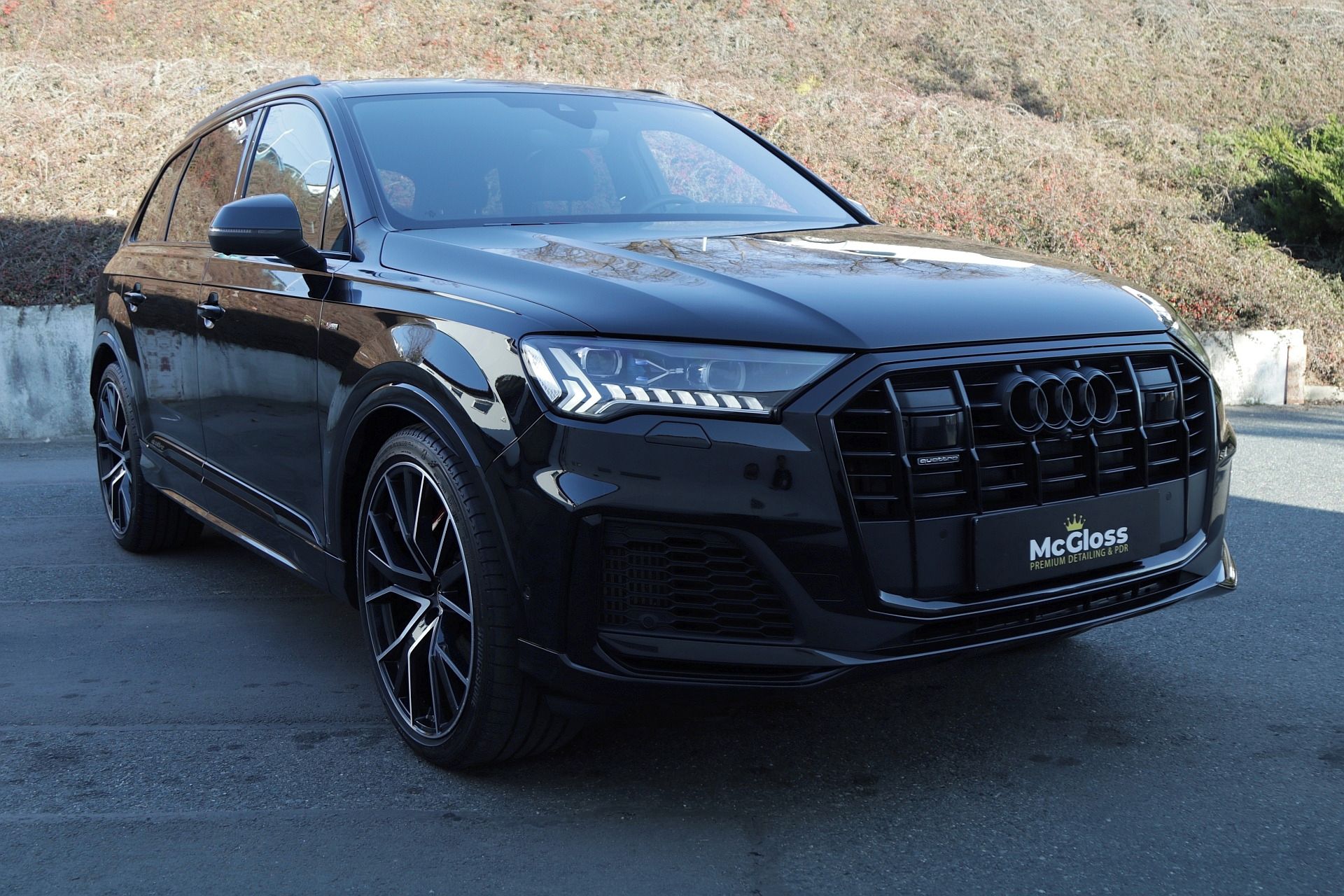 Audi Q7, Competition Plus/Laser/Webasto - fotka 3