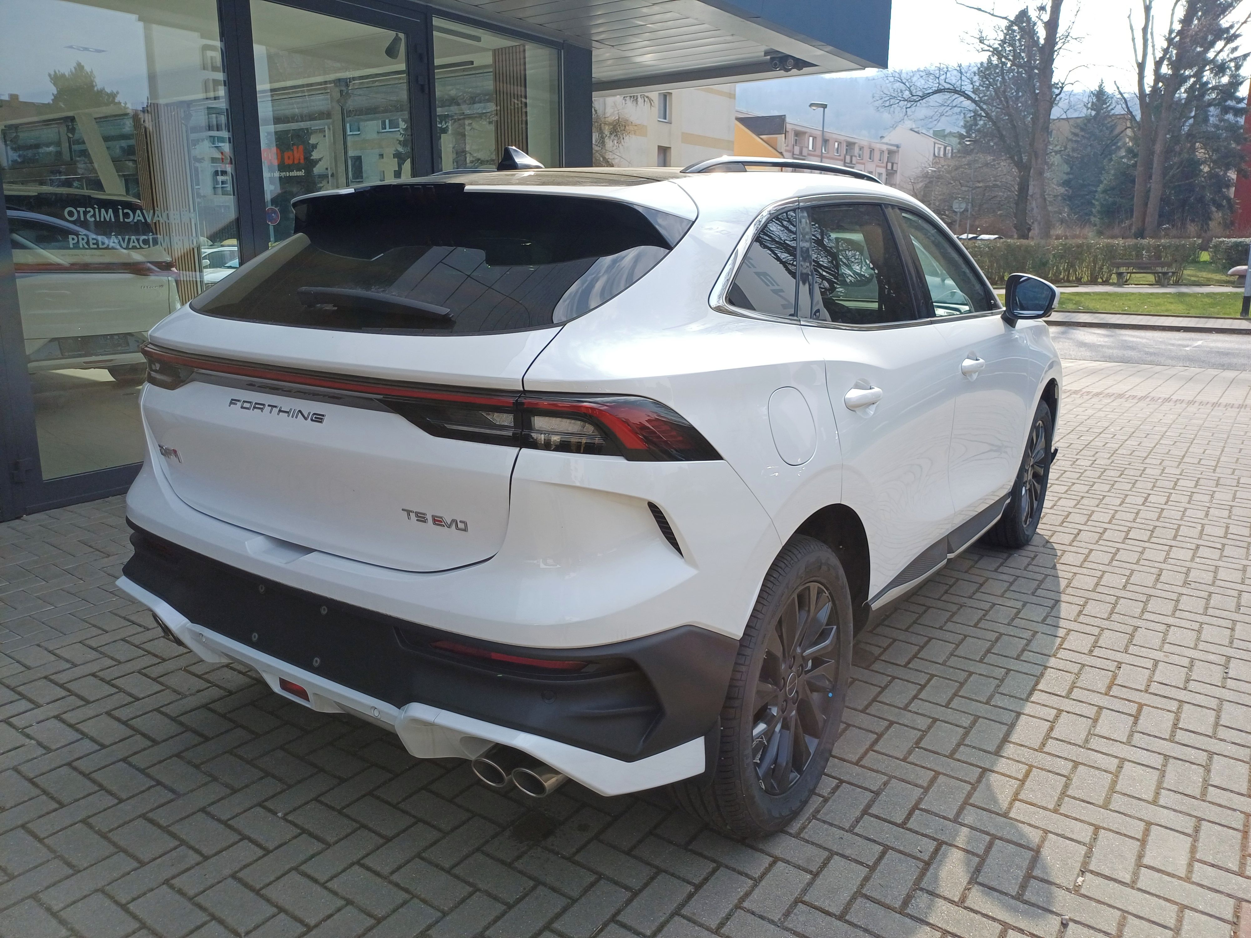 Dongfeng T5 EVO, Dongfeng T5 EVO Dragon Edition - fotka 6