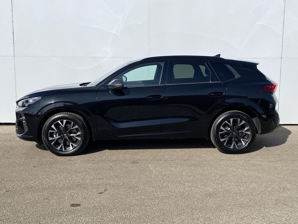 Cupra Terramar, 2,0 TSI 150 kW 4WD DSG - fotka 4