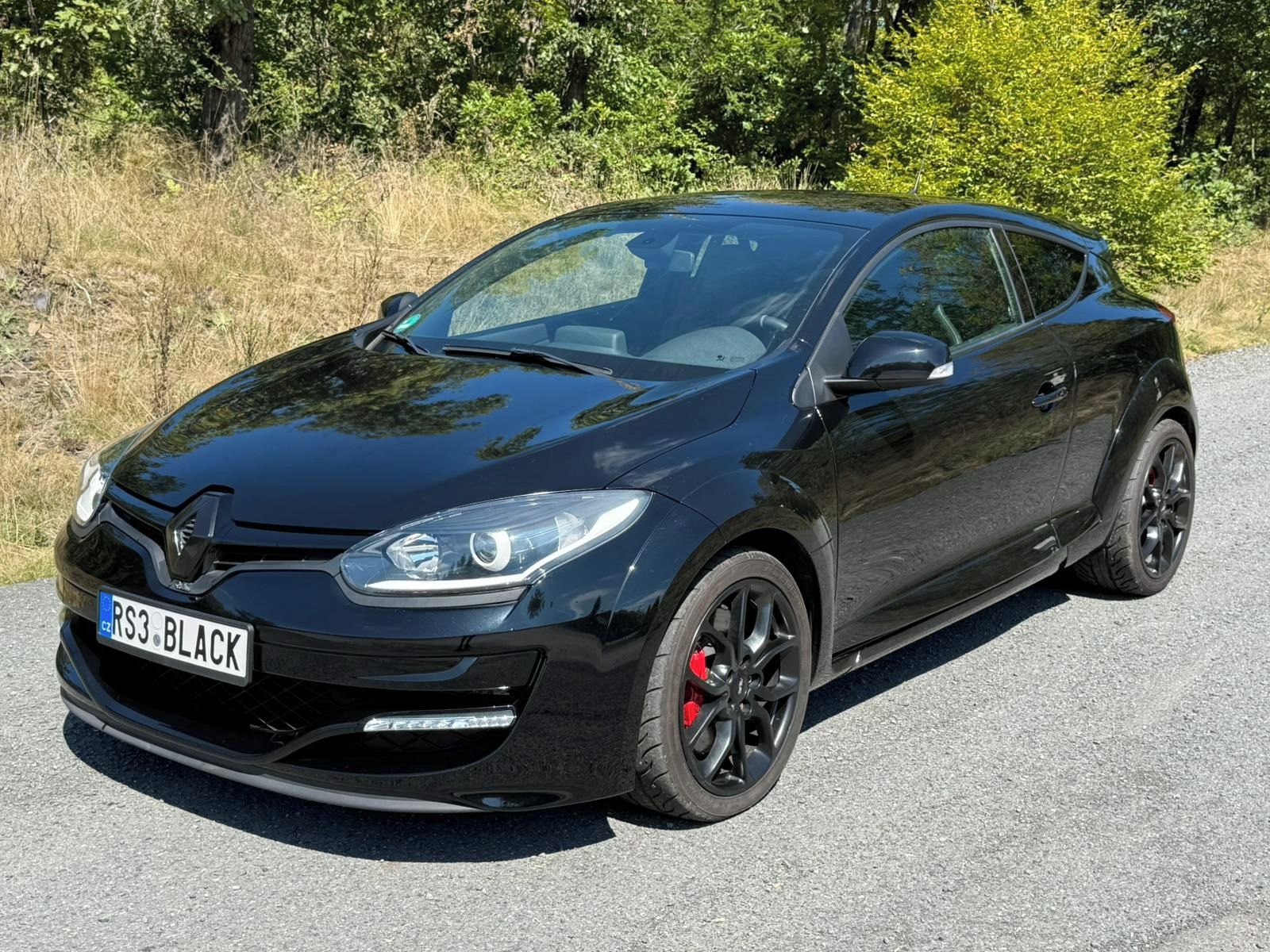 Renault Mégane, RS TROPHY, 8500km, 195 kW - fotka 2