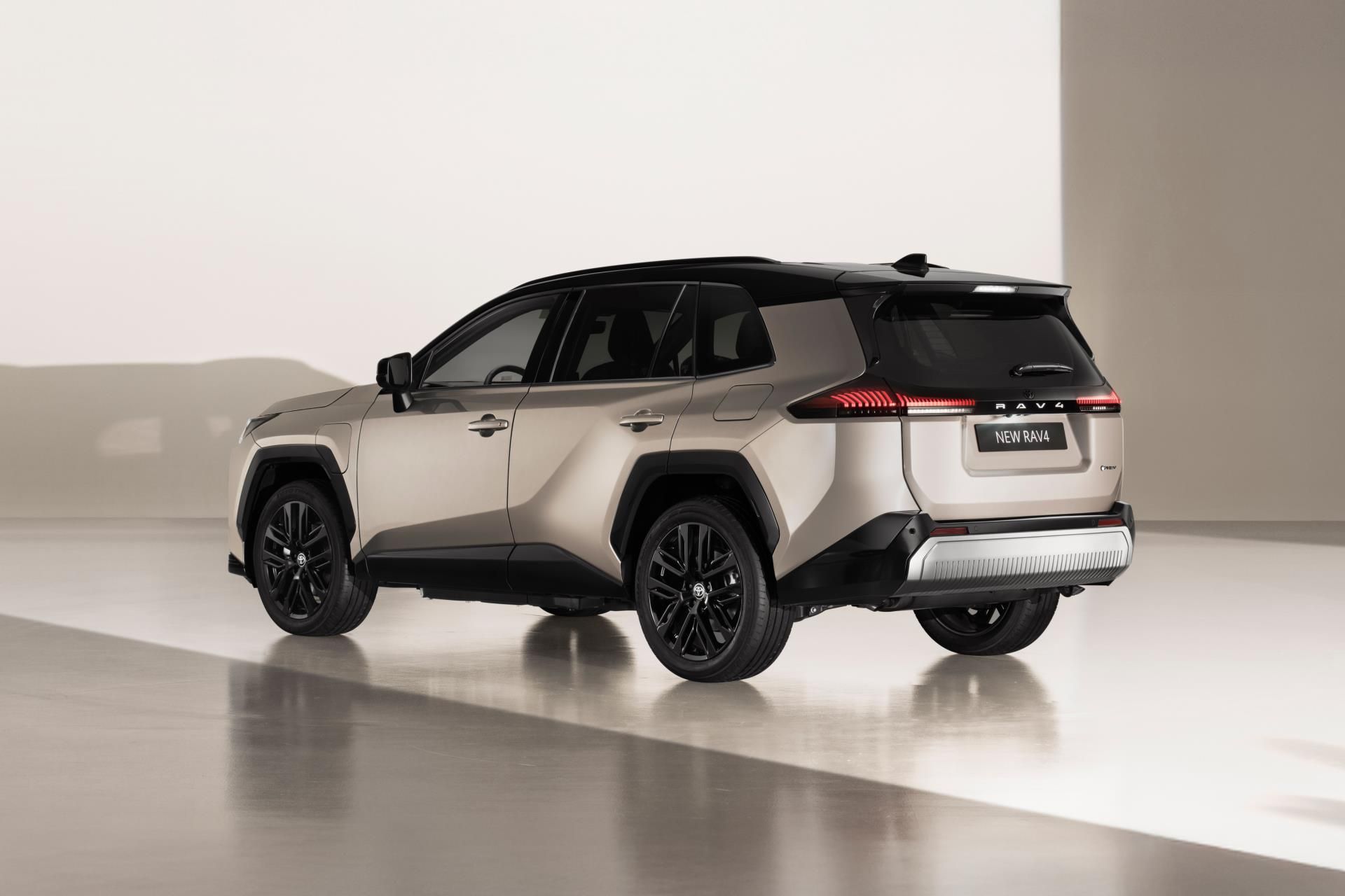 Toyota Rav4, 2,5 HEV 4X4 STYLE - fotka 5