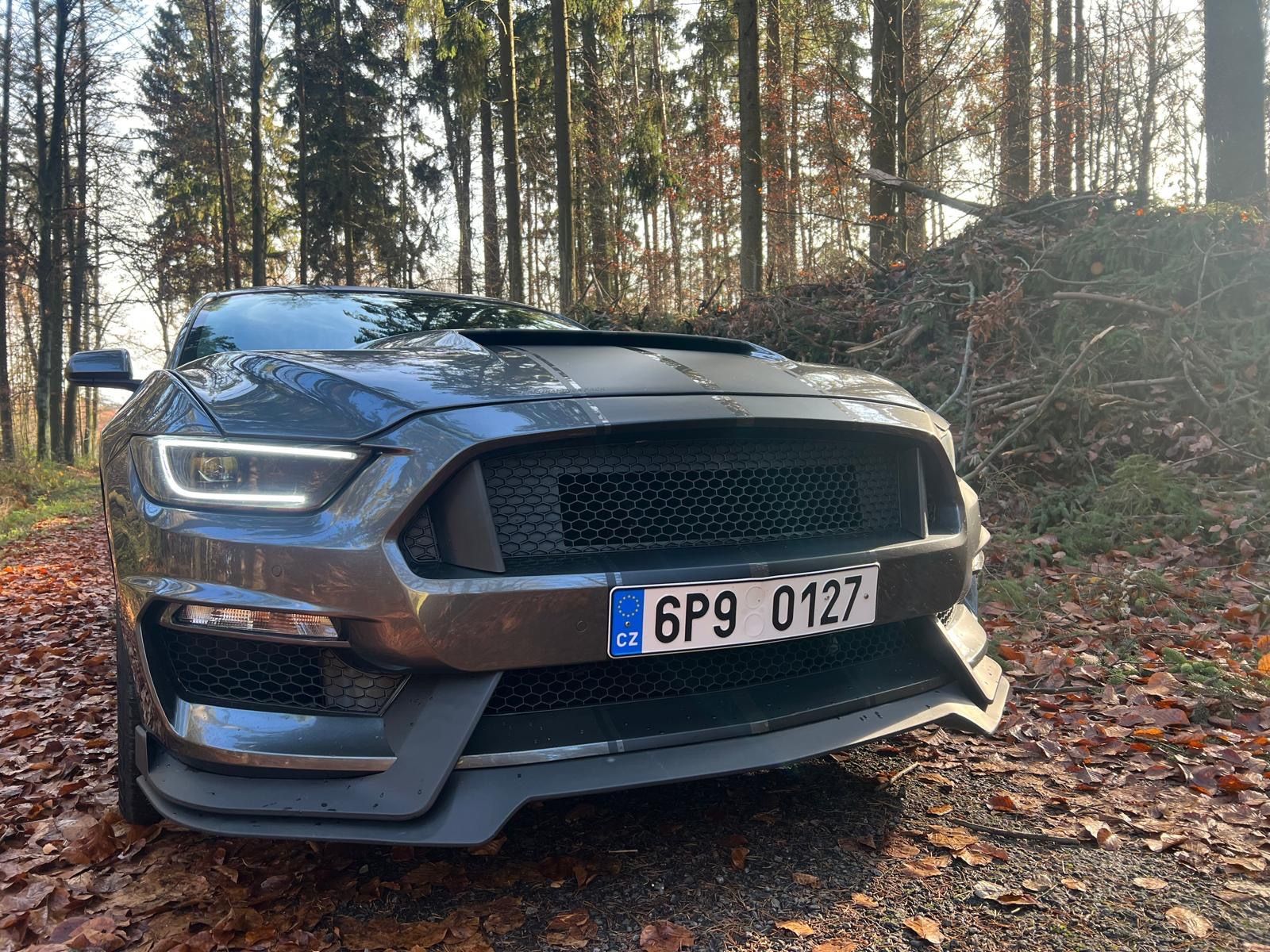 Ford Mustang, 5.0L GT Performance Pack Top!! - fotka 3