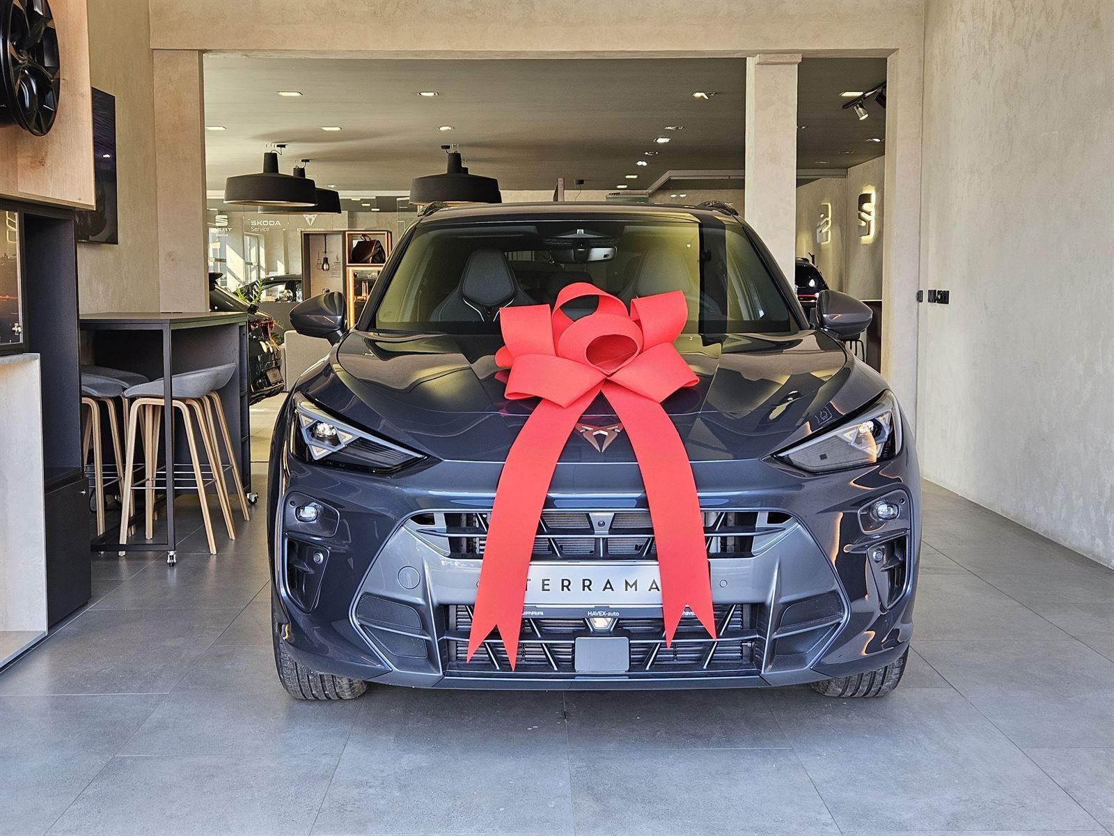 Cupra Terramar, 2.0 TSI 204k DSG 4WD - fotka 4