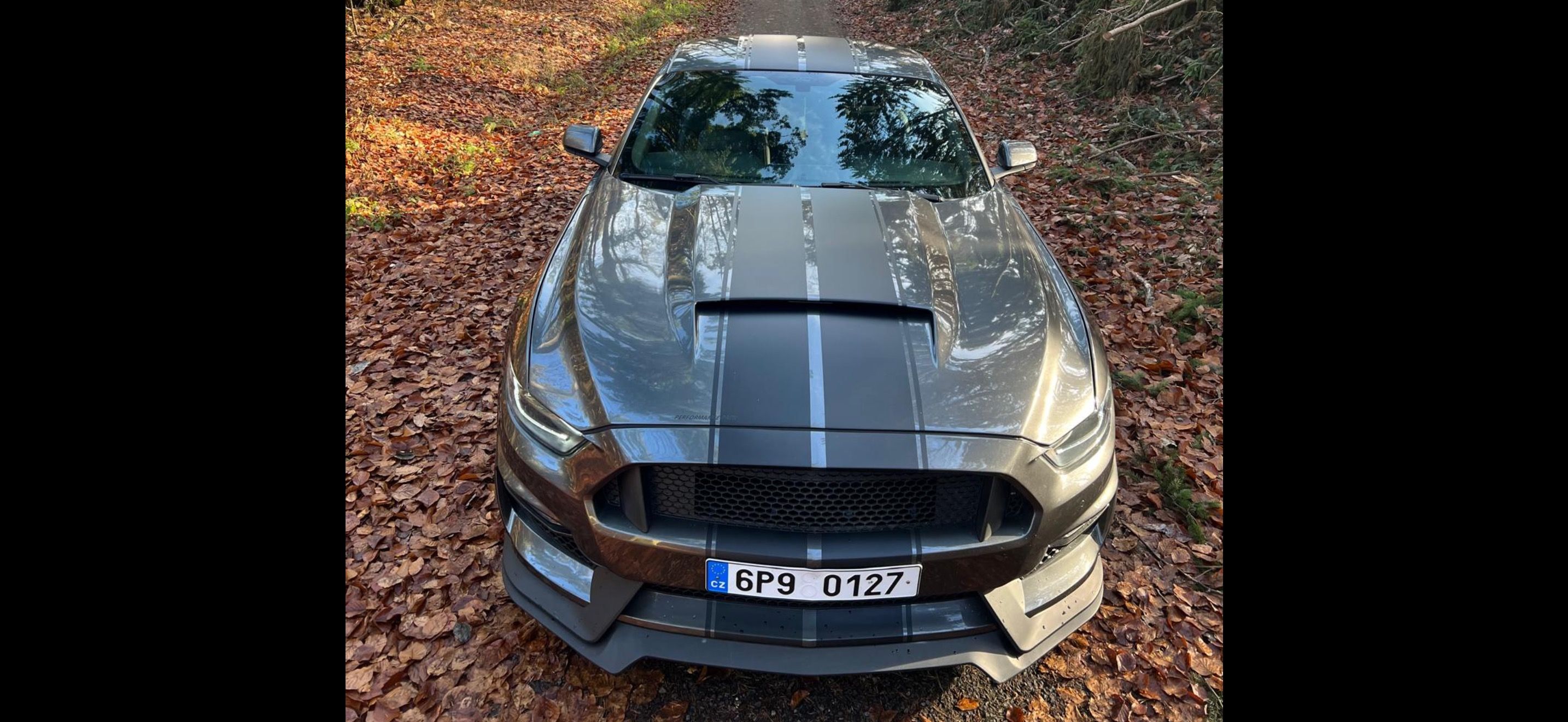 Ford Mustang, 5.0L GT Performance Pack Top!! - fotka 4