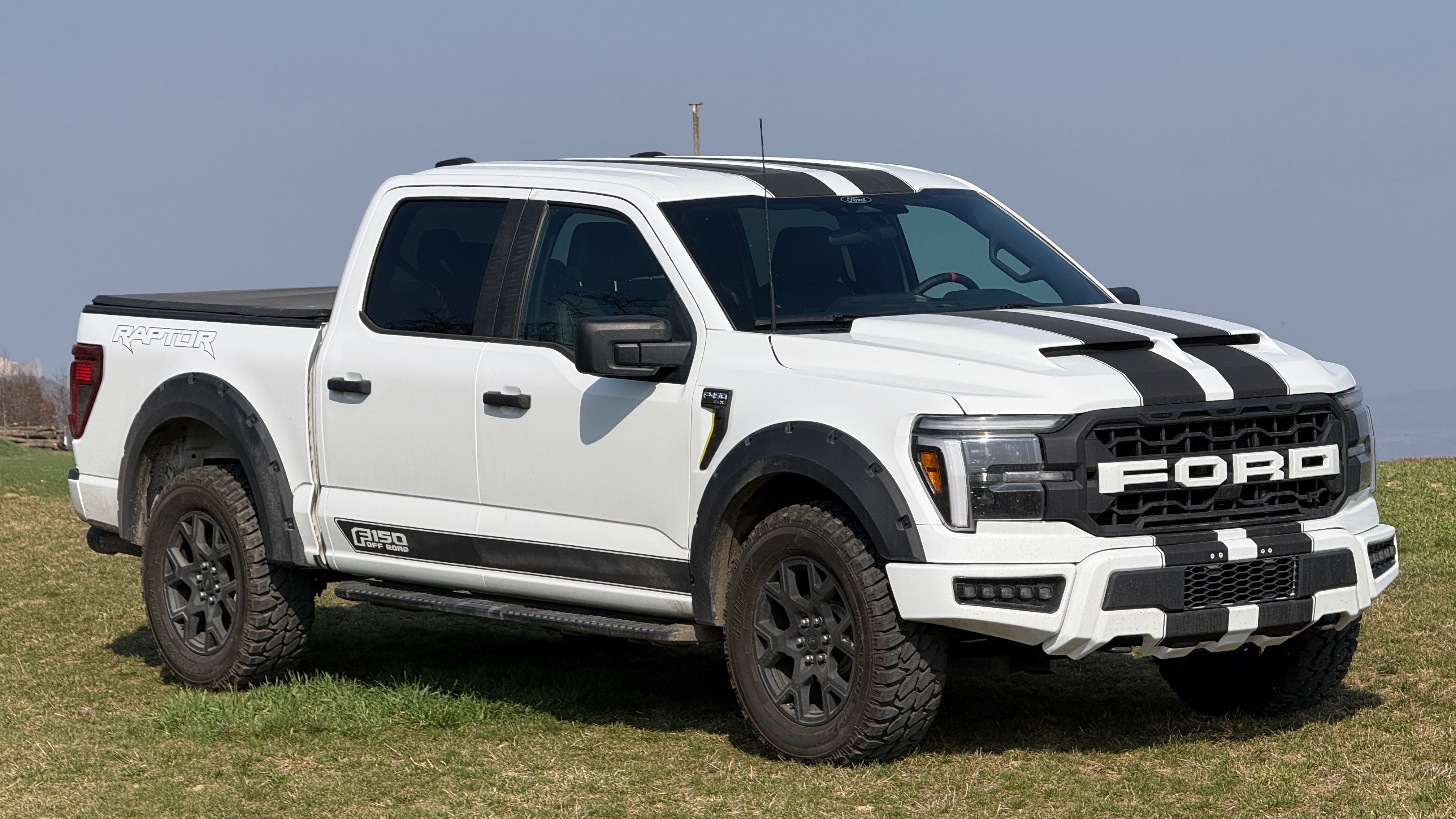 Ford F-150, 5.0L Rapror Optik - fotka 3