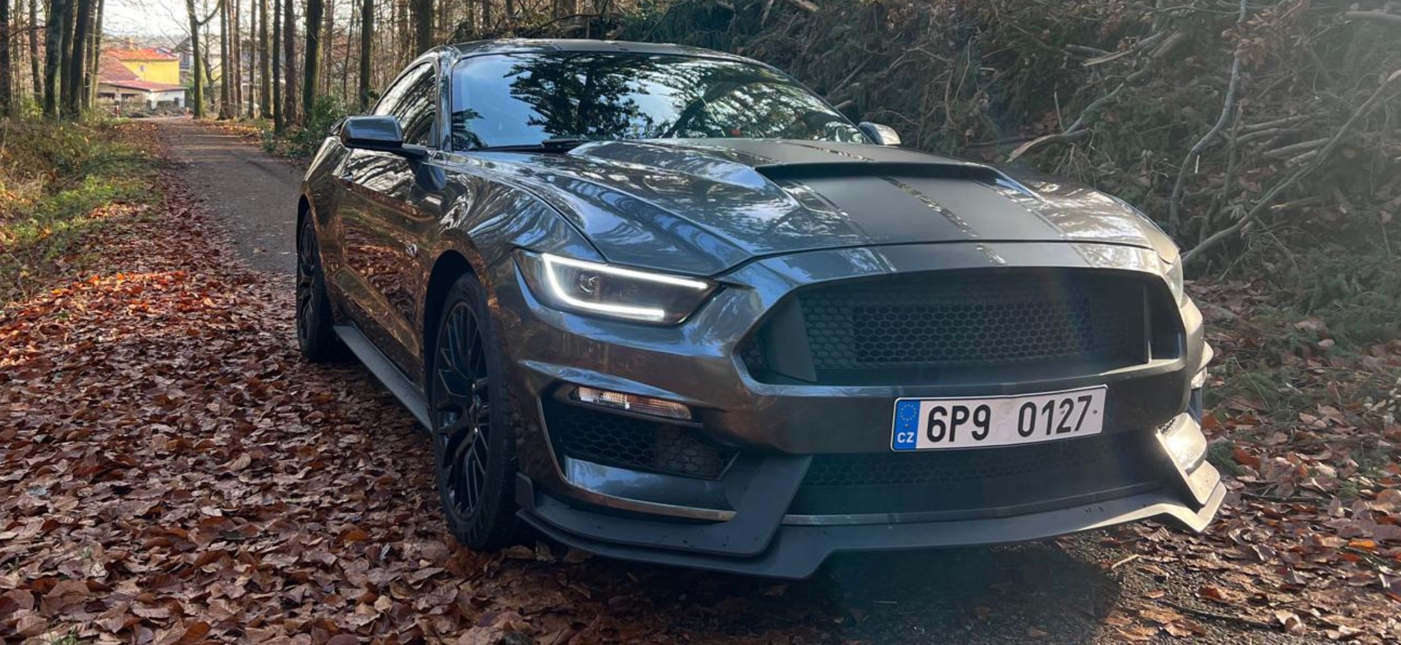 Ford Mustang, 5.0L GT Performance Pack Top!! - fotka 2
