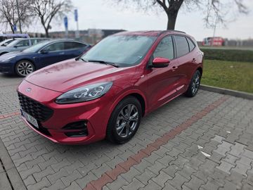 2,5 HEV, ST-Line-X, FWD