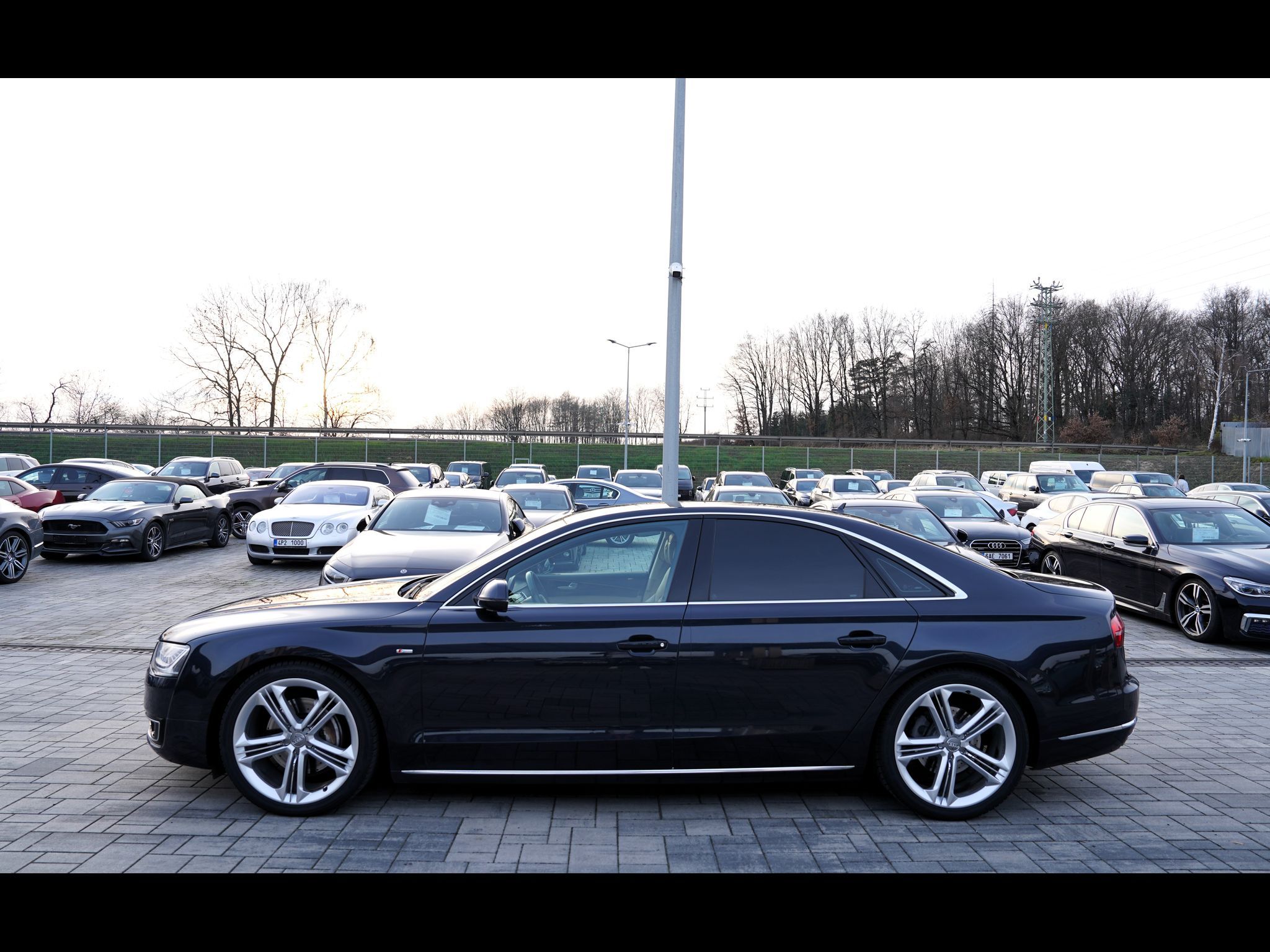 Audi A8, 3.0 TDI Quattro/Tiptr./Matrix - fotka 3