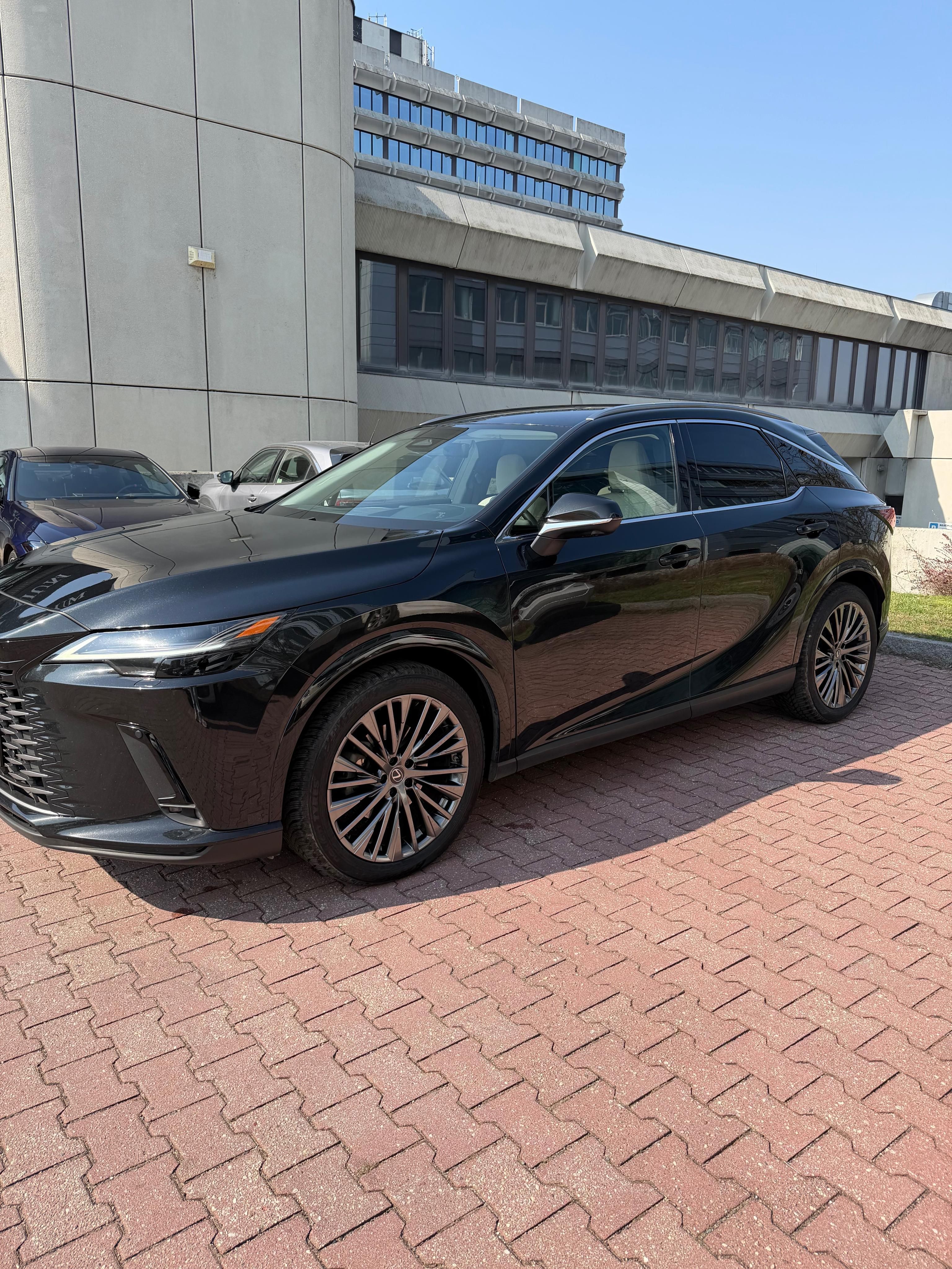Lexus RX 450h+, 2,5 PHEV LUXURY - fotka 3
