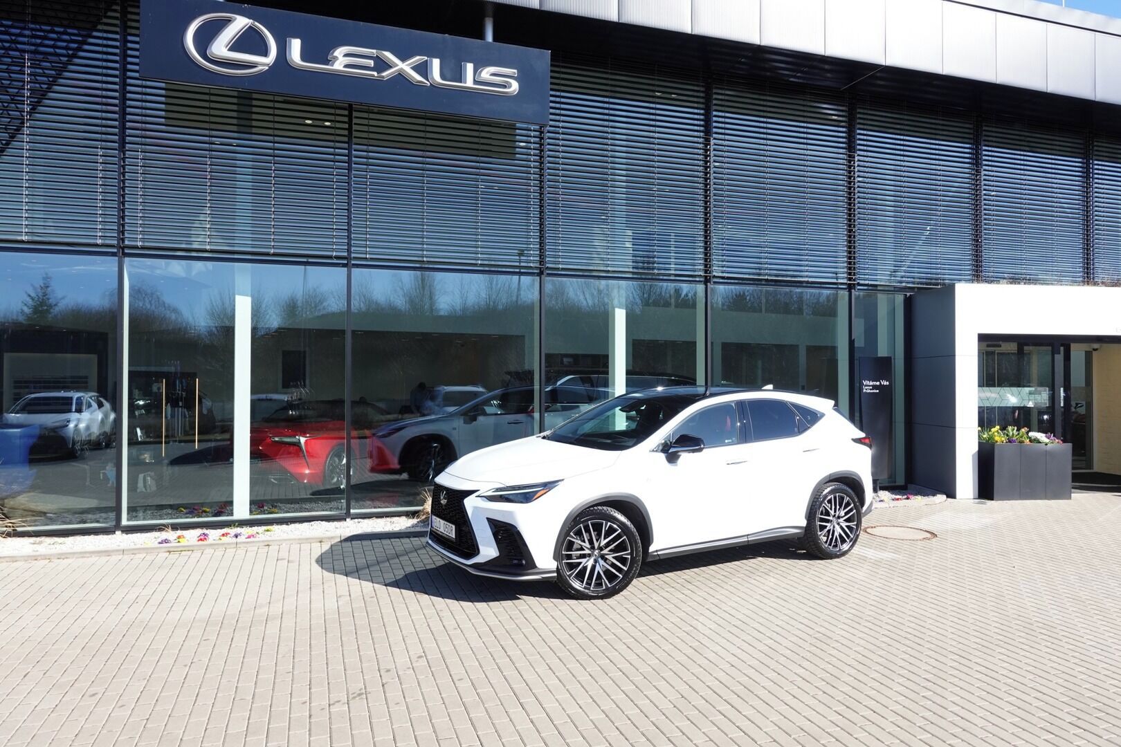 Lexus NX 450h+, NX450h+Plug-in F SPORT Top Pan