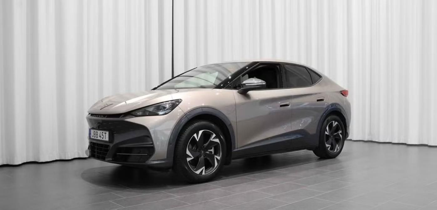 Cupra Tavascan, Kamera Ambient Park asistent